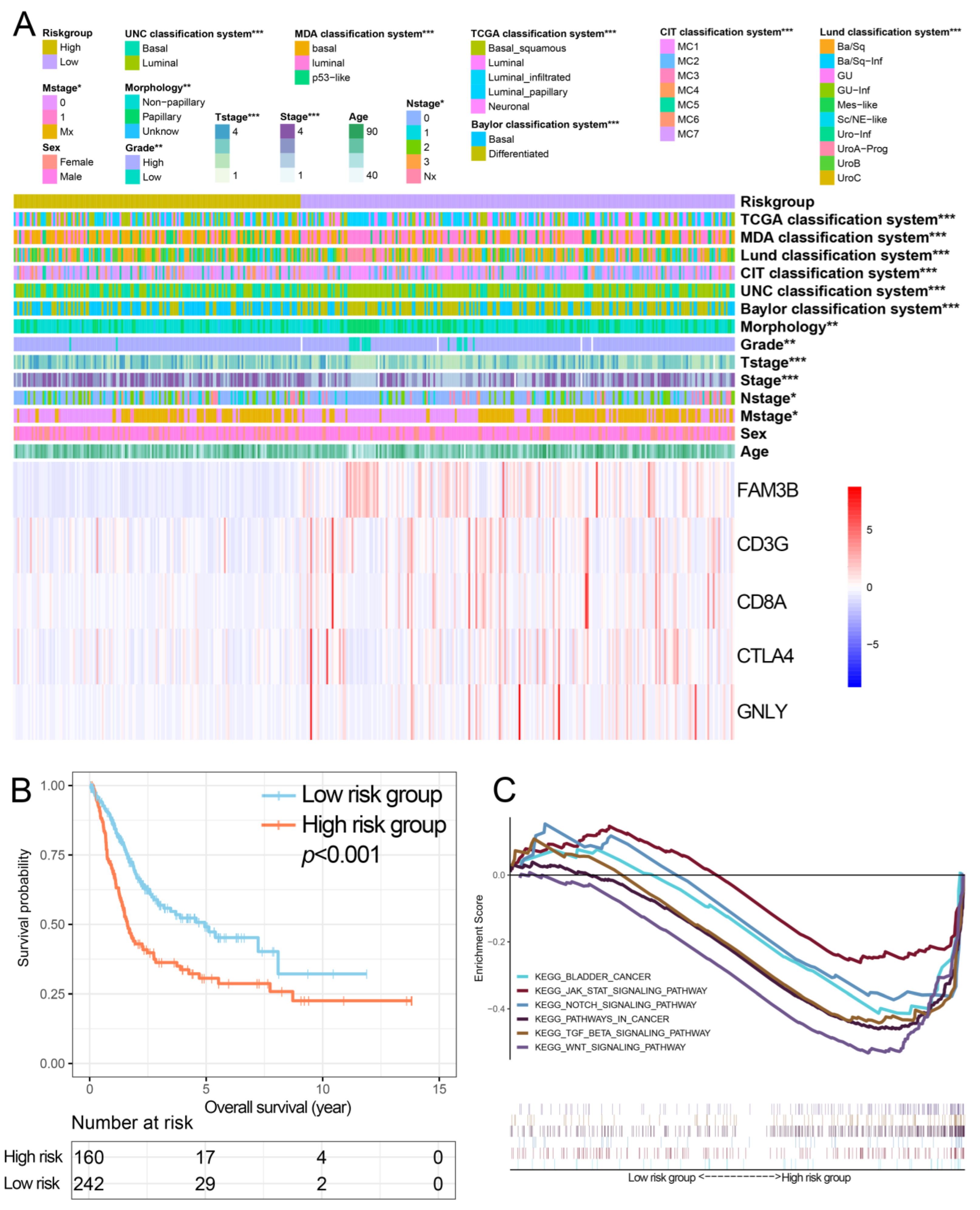 Bioengineering 10 00318 g004