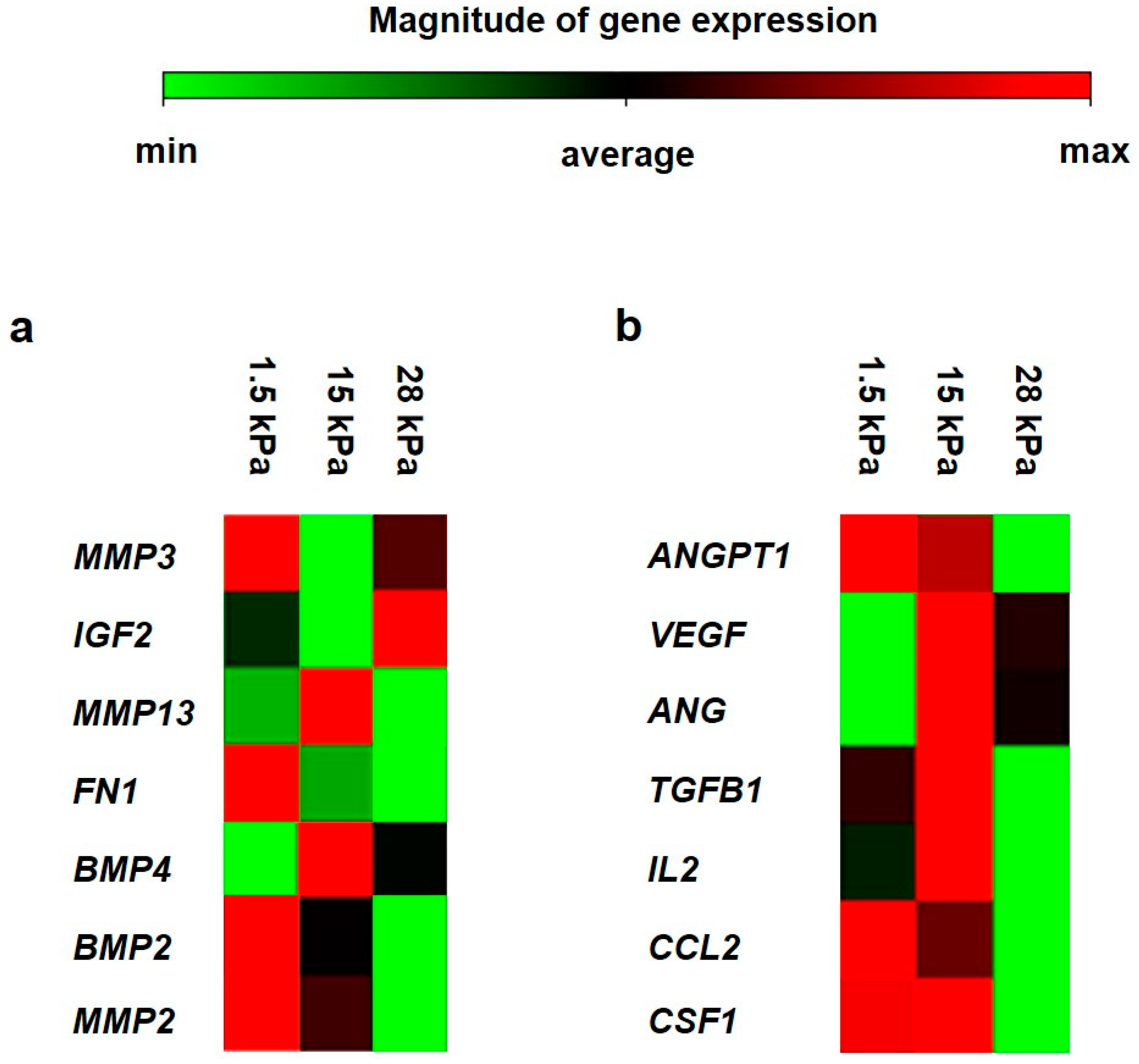 Bioengineering 10 00323 g006