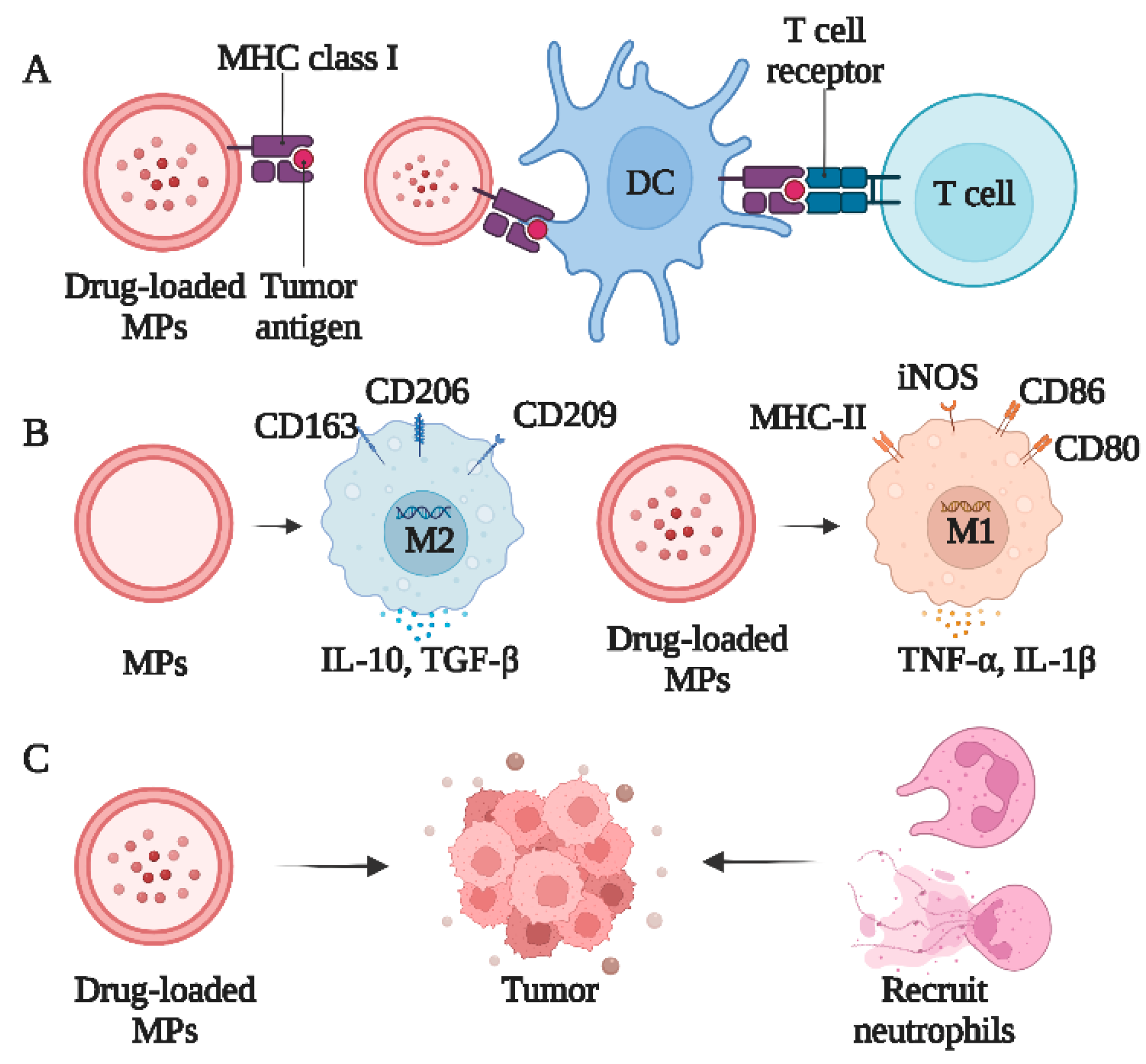 Bioengineering 10 00325 g003