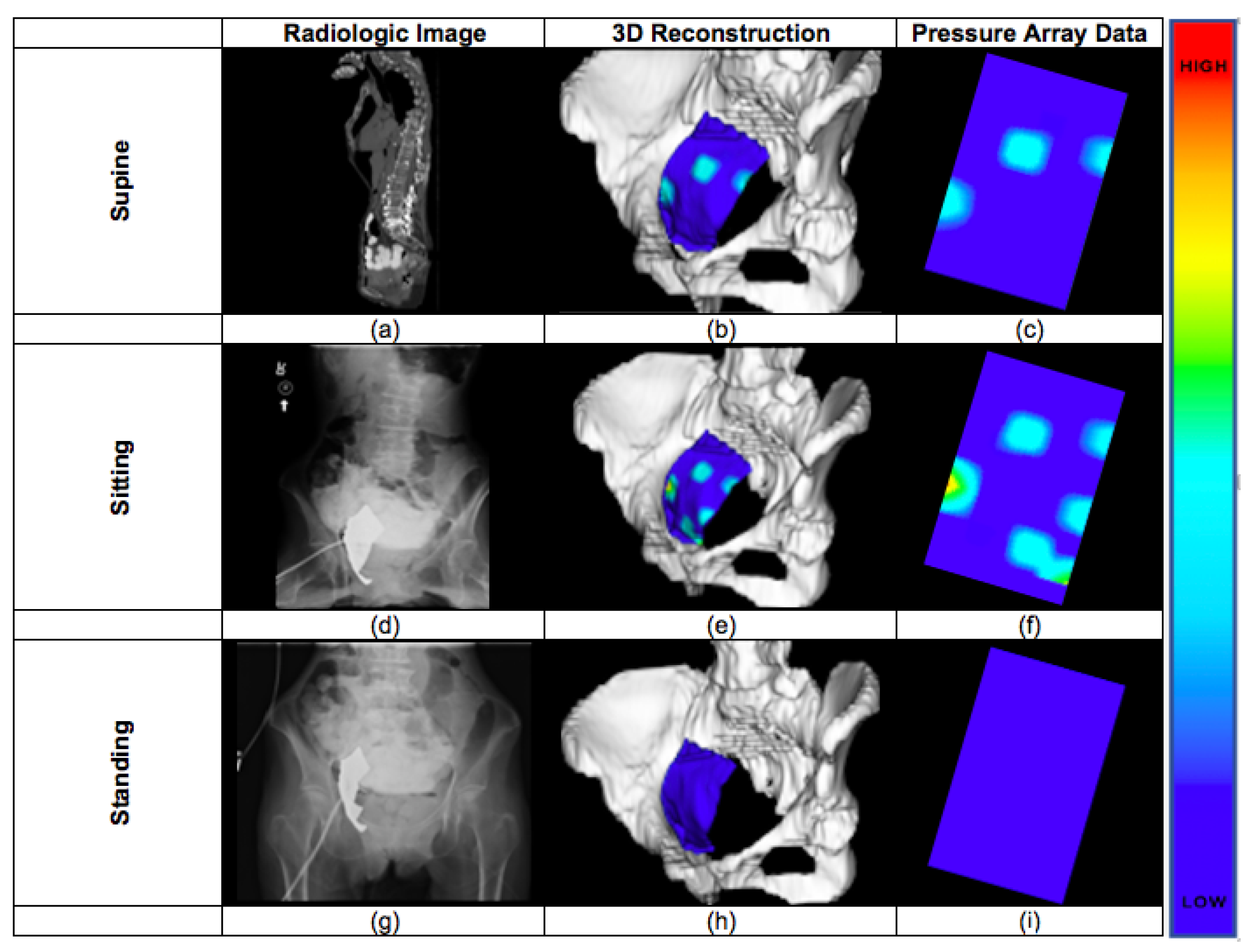Bioengineering 10 00329 g001