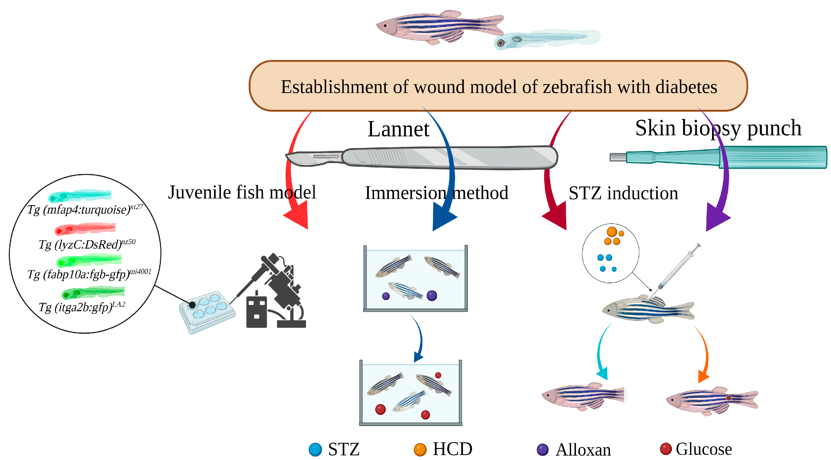 https://www.mdpi.com/bioengineering/bioengineering-10-00330/article_deploy/html/images/bioengineering-10-00330-g004.png