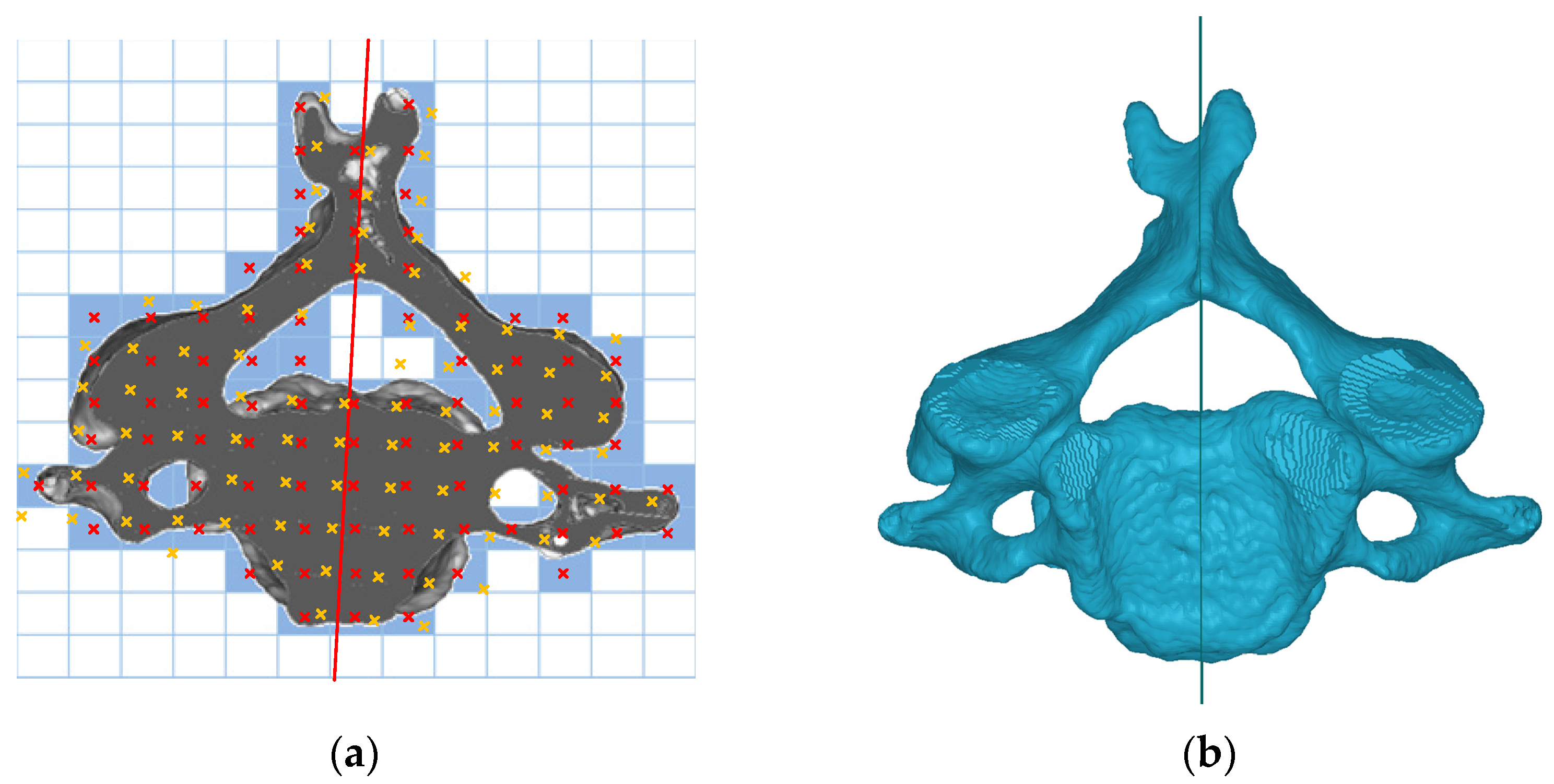 Bioengineering 10 00335 g001 Bioengineering 10 00335 g001