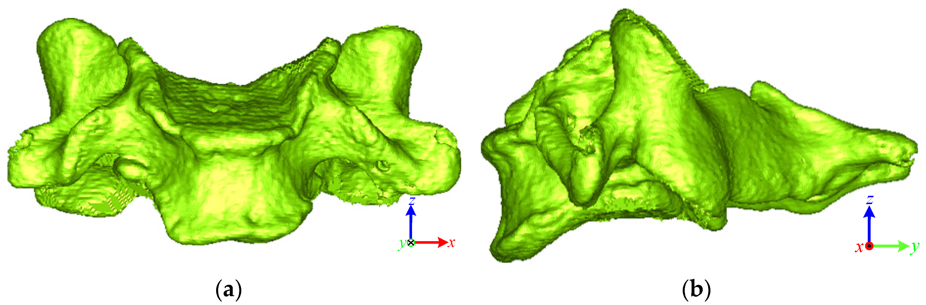 Bioengineering 10 00335 g002 Bioengineering 10 00335 g002