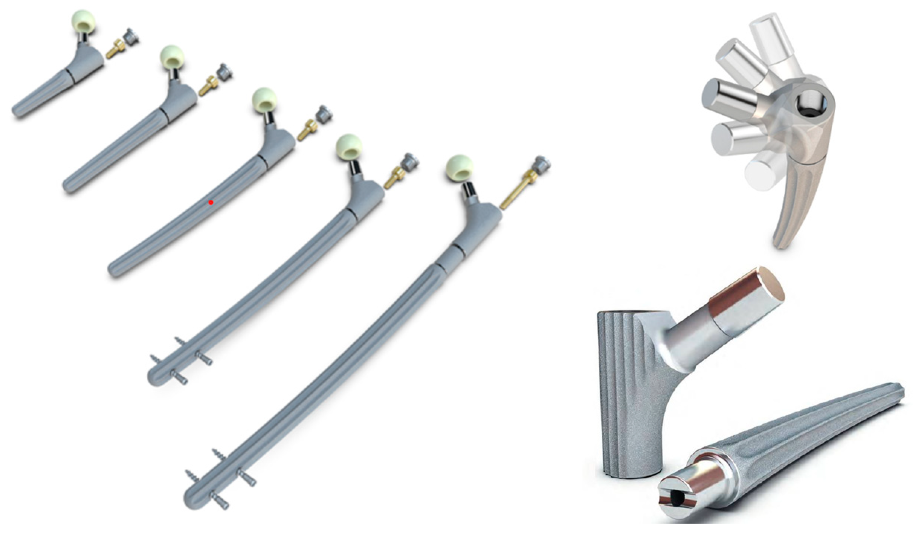 Bioengineering 10 00341 g001 Bioengineering 10 00341 g001