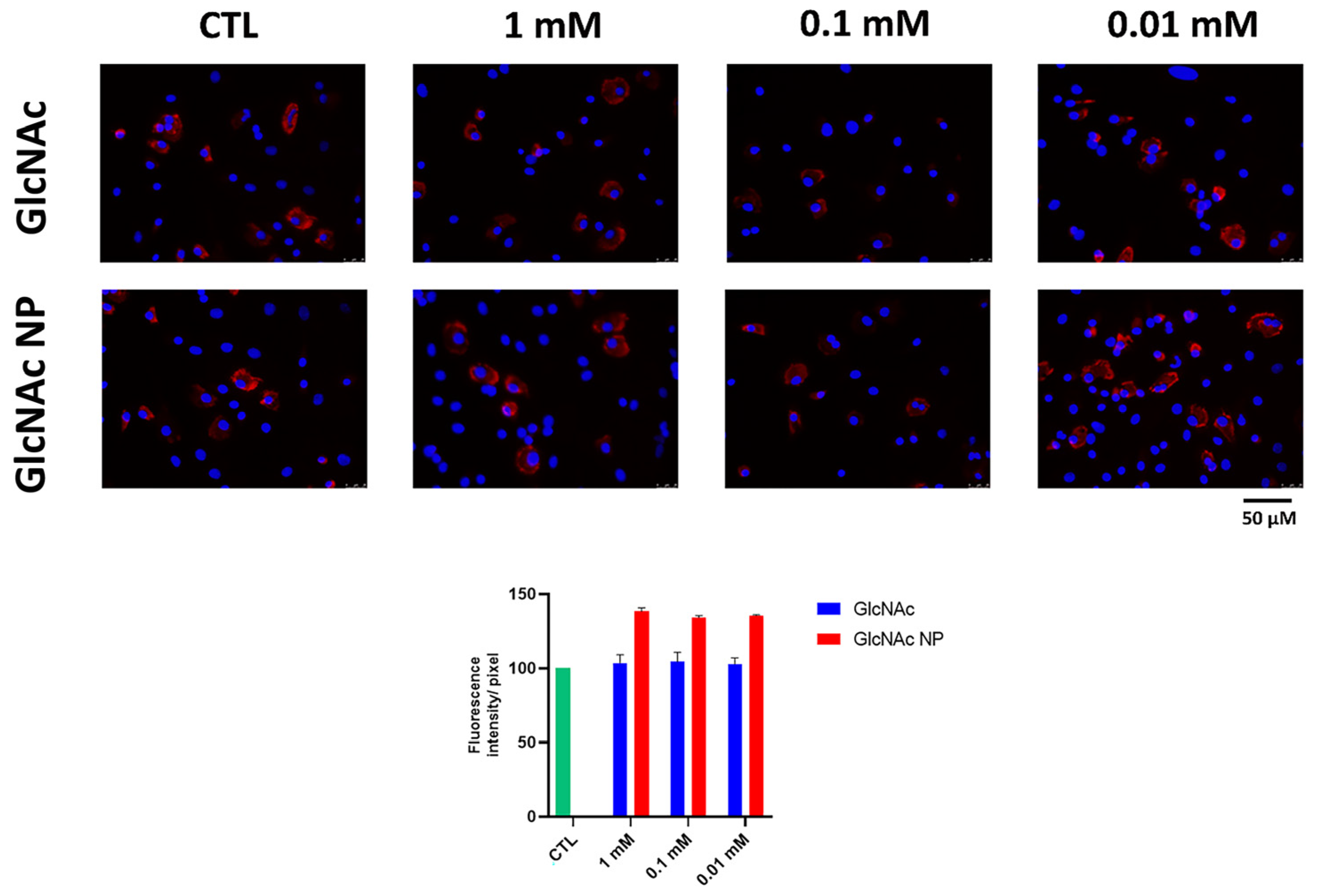 Bioengineering 10 00343 g006 Bioengineering 10 00343 g006