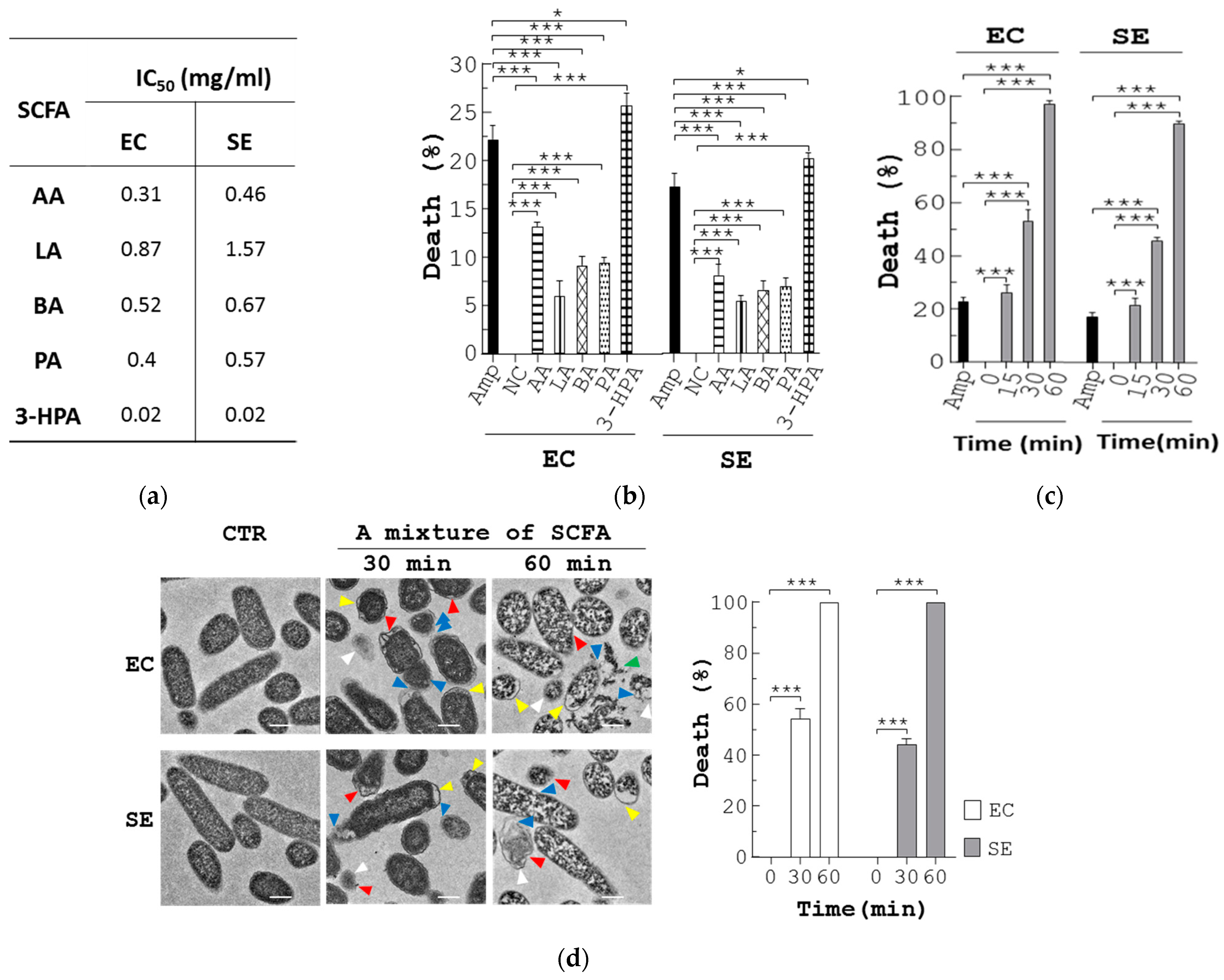 Bioengineering 10 00346 g004a Bioengineering 10 00346 g004a