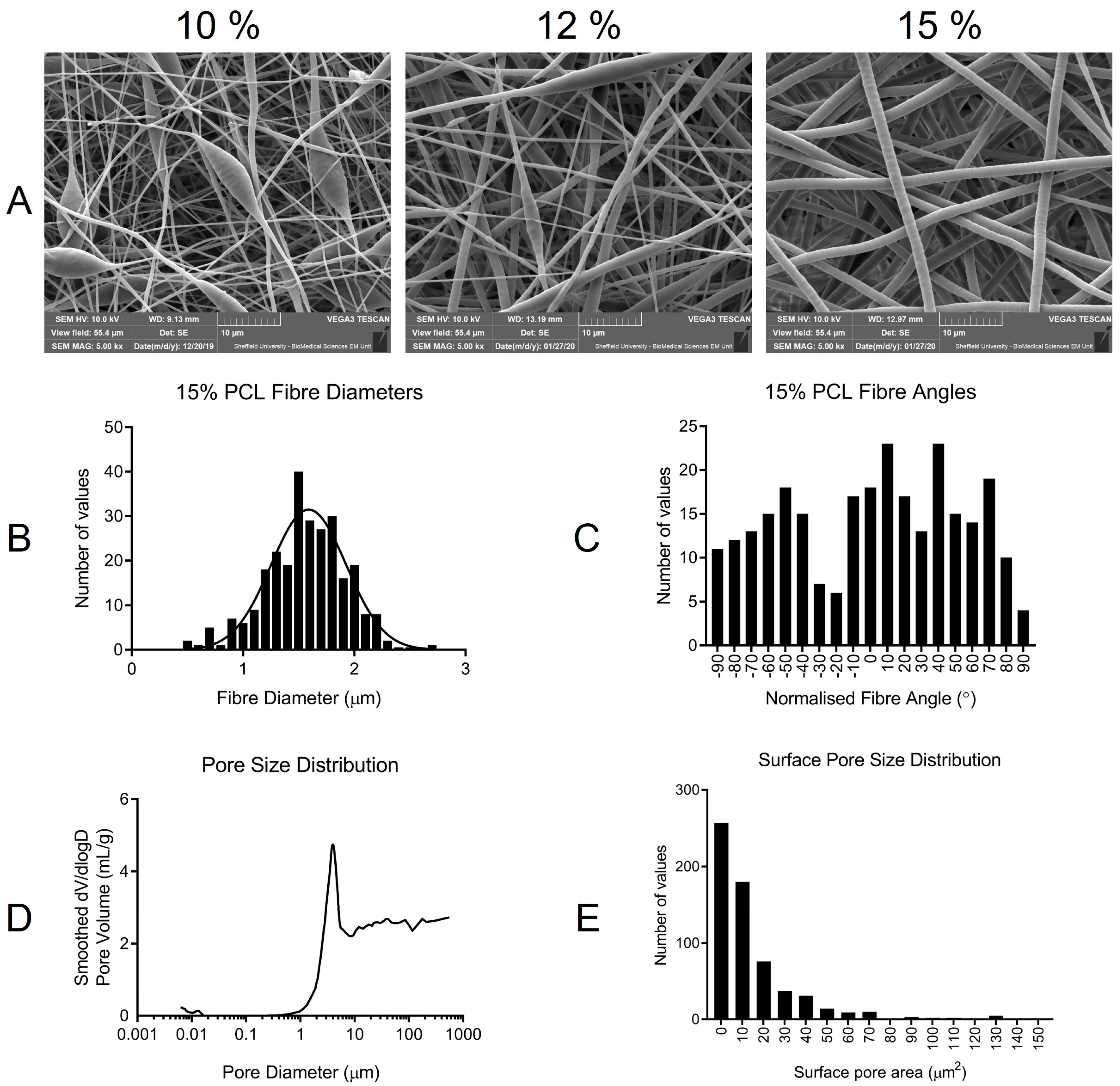 Bioengineering 10 00348 g001