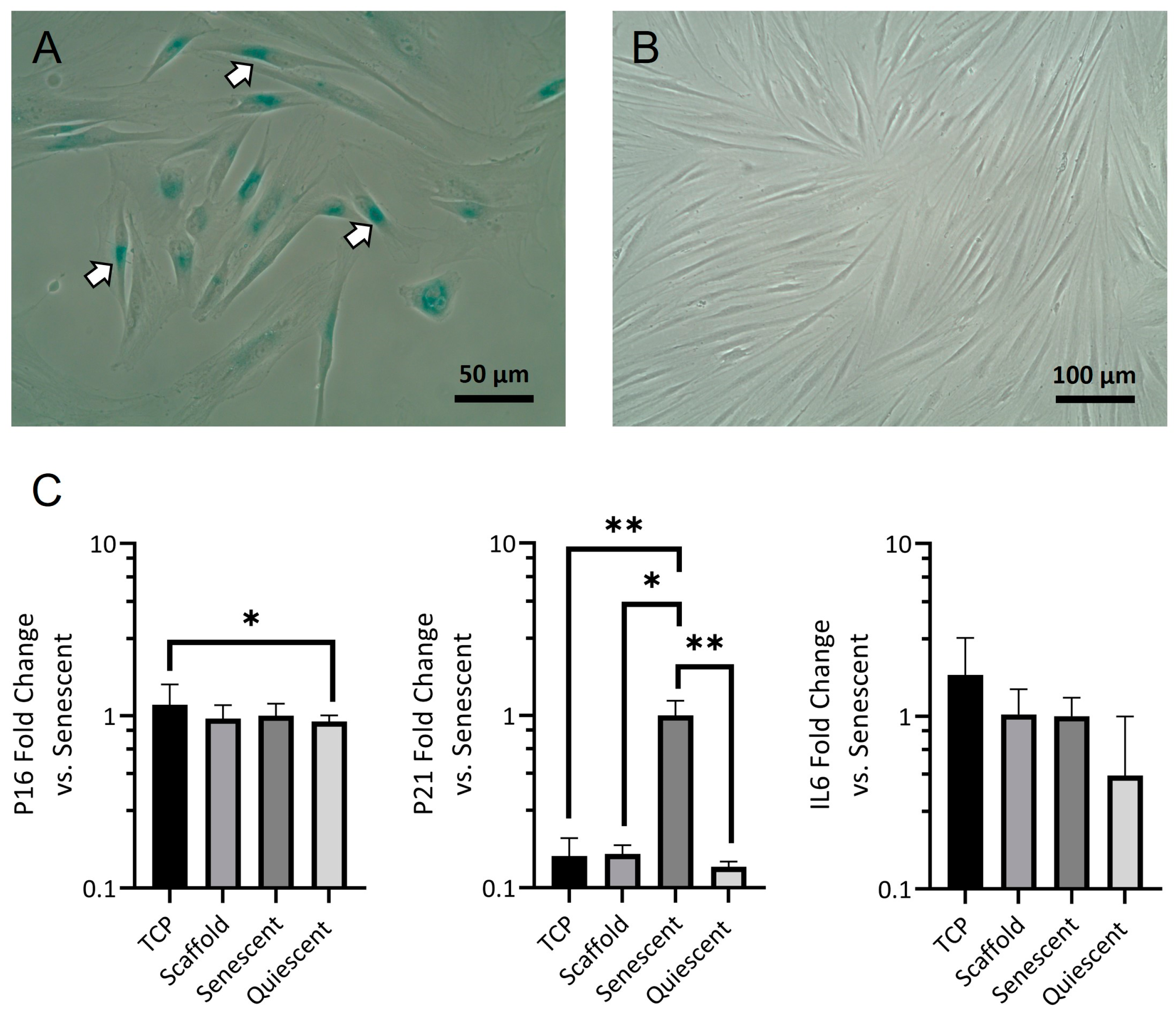 Bioengineering 10 00348 g006