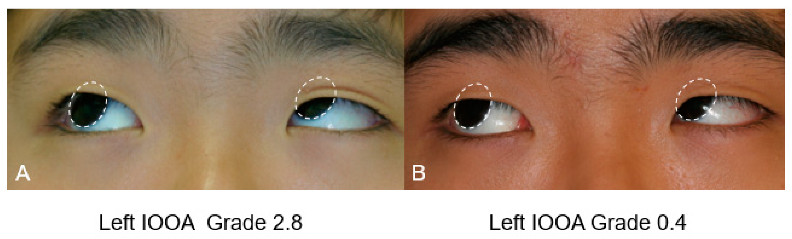 Bioengineering 10 00352 g001