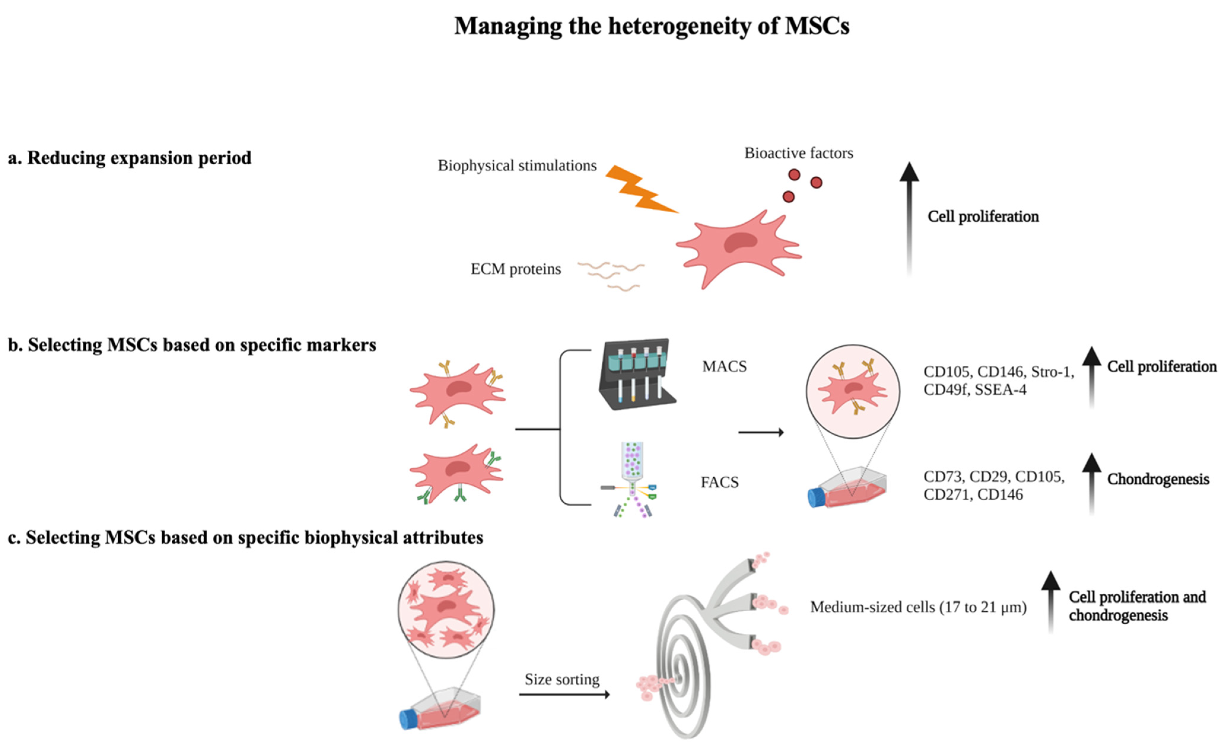 Bioengineering free full text managing the heterogeneity of