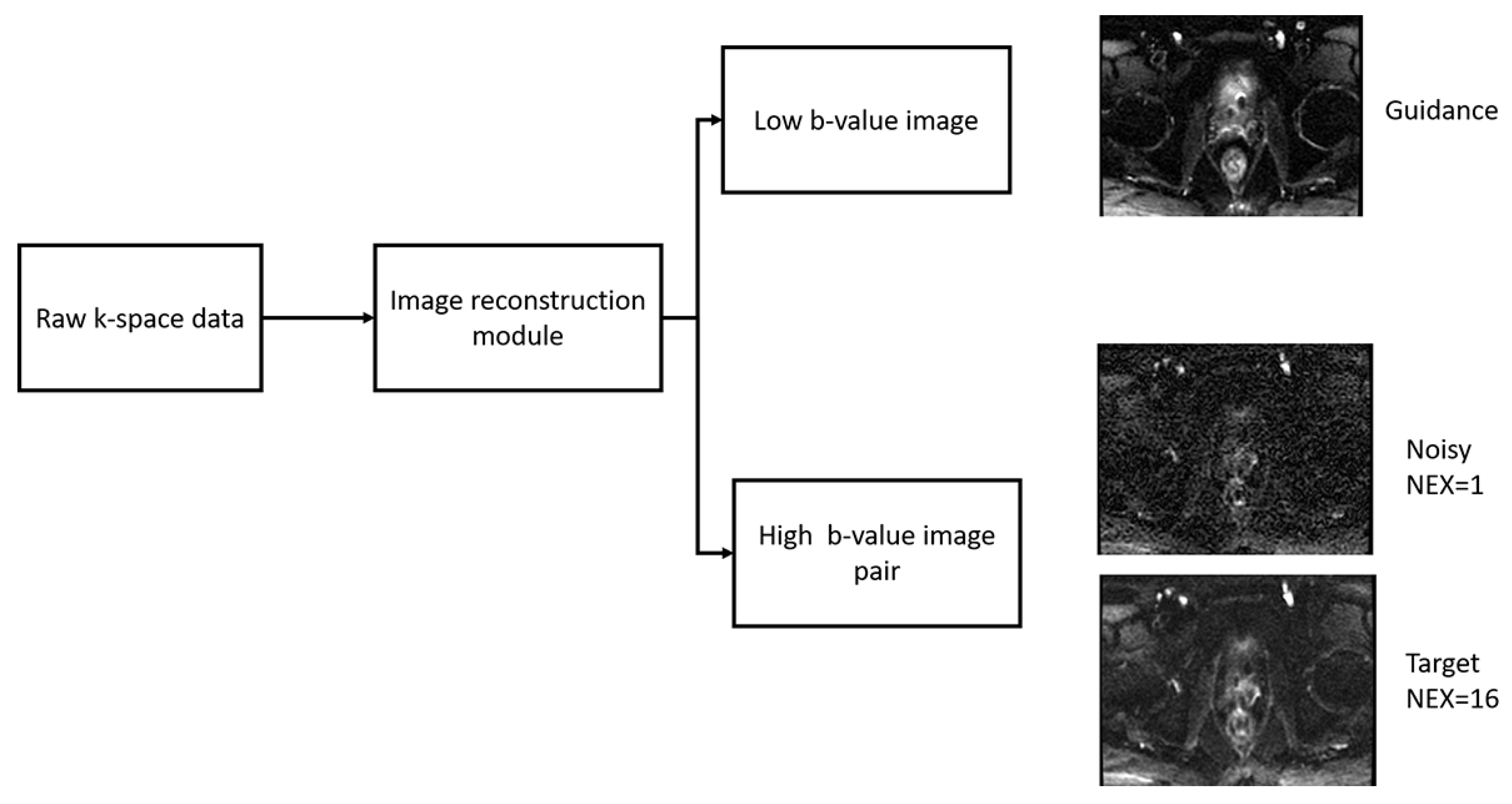 Bioengineering 10 00359 g001 Bioengineering 10 00359 g001