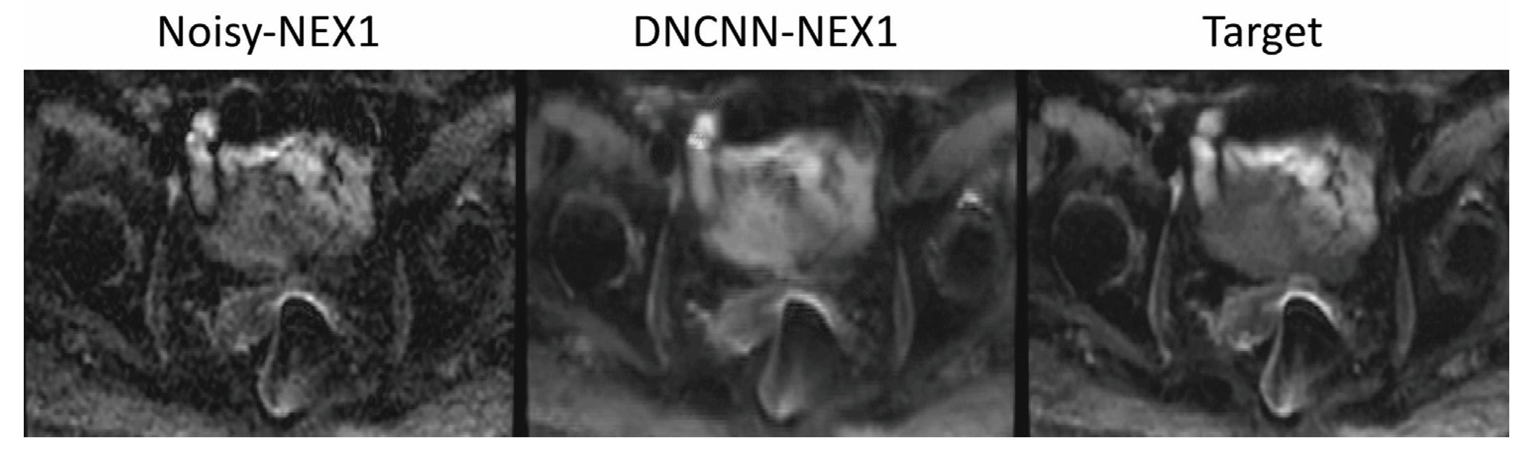 Bioengineering 10 00359 g007 Bioengineering 10 00359 g007