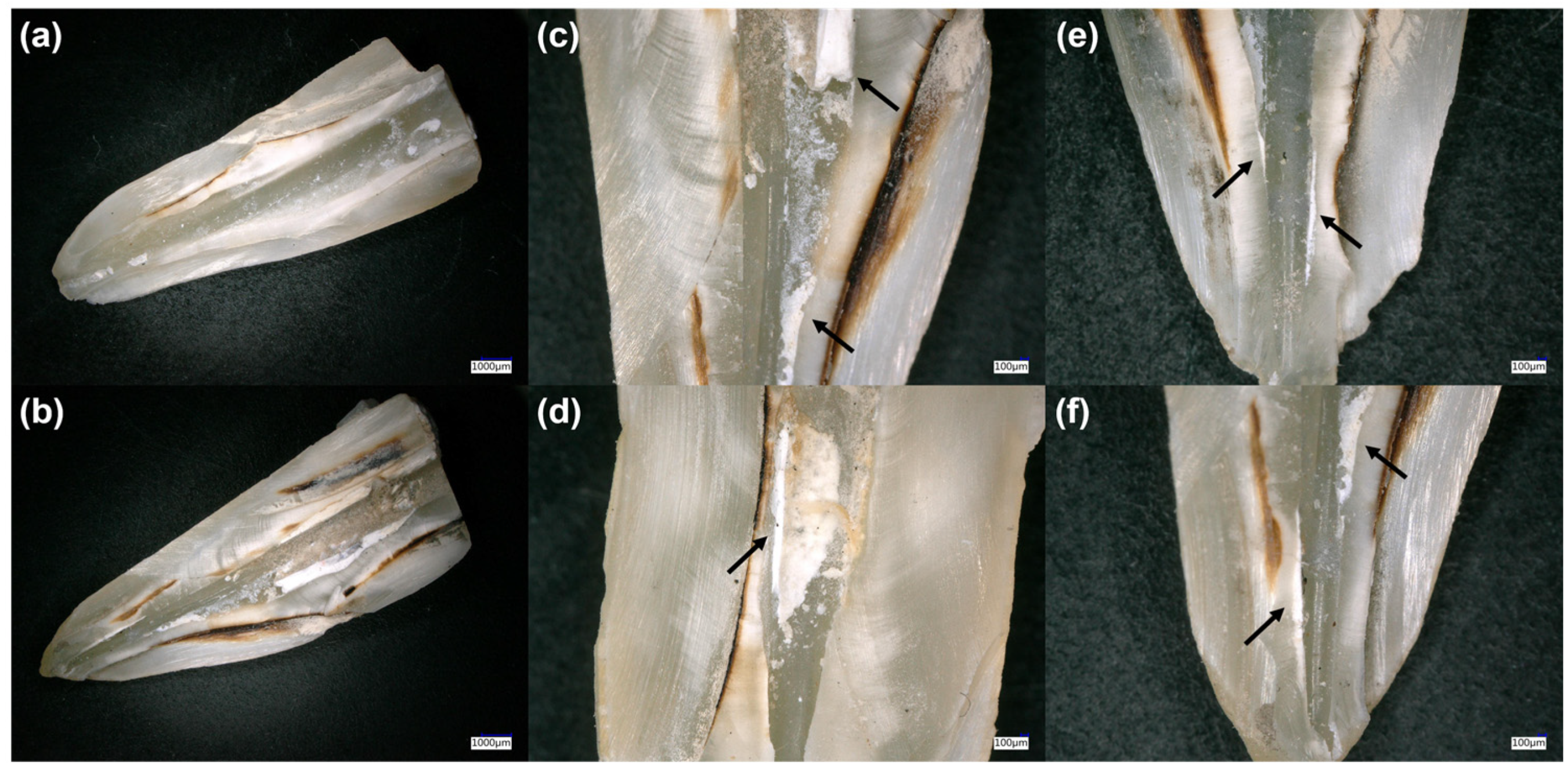 Bioengineering 10 00362 g003 Bioengineering 10 00362 g003
