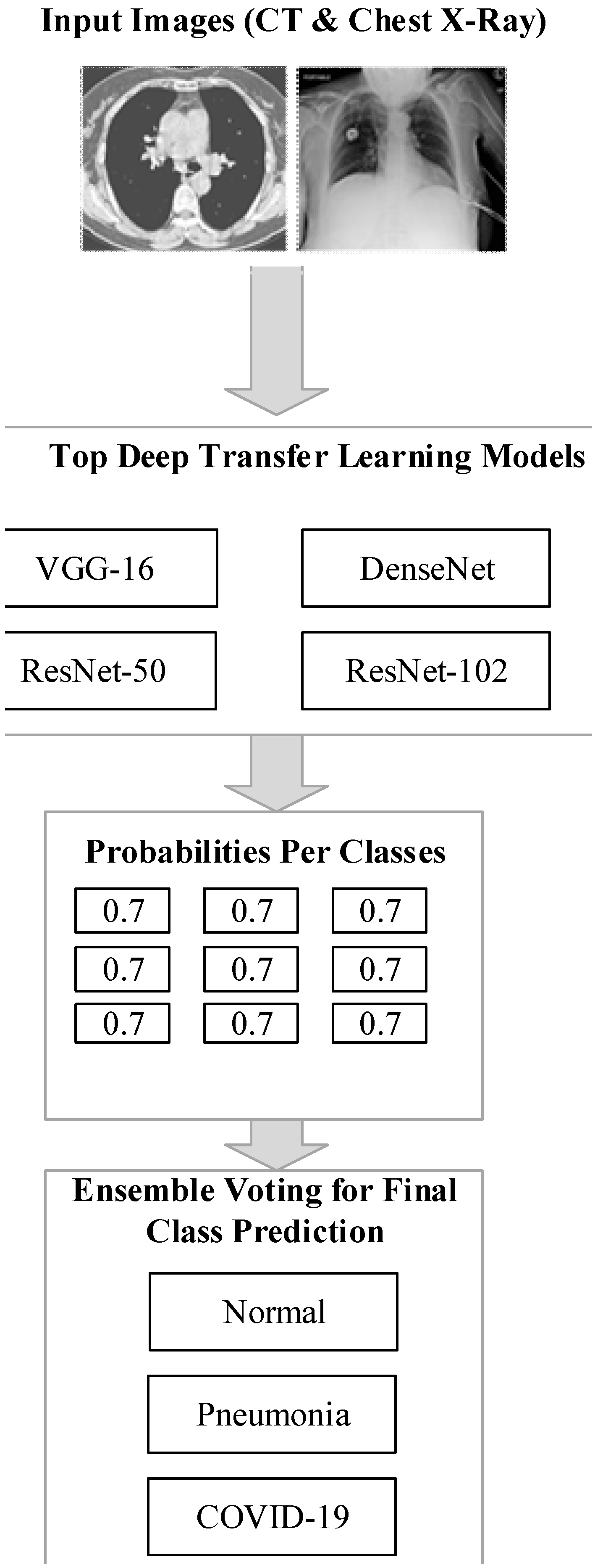 Bioengineering 10 00363 g001