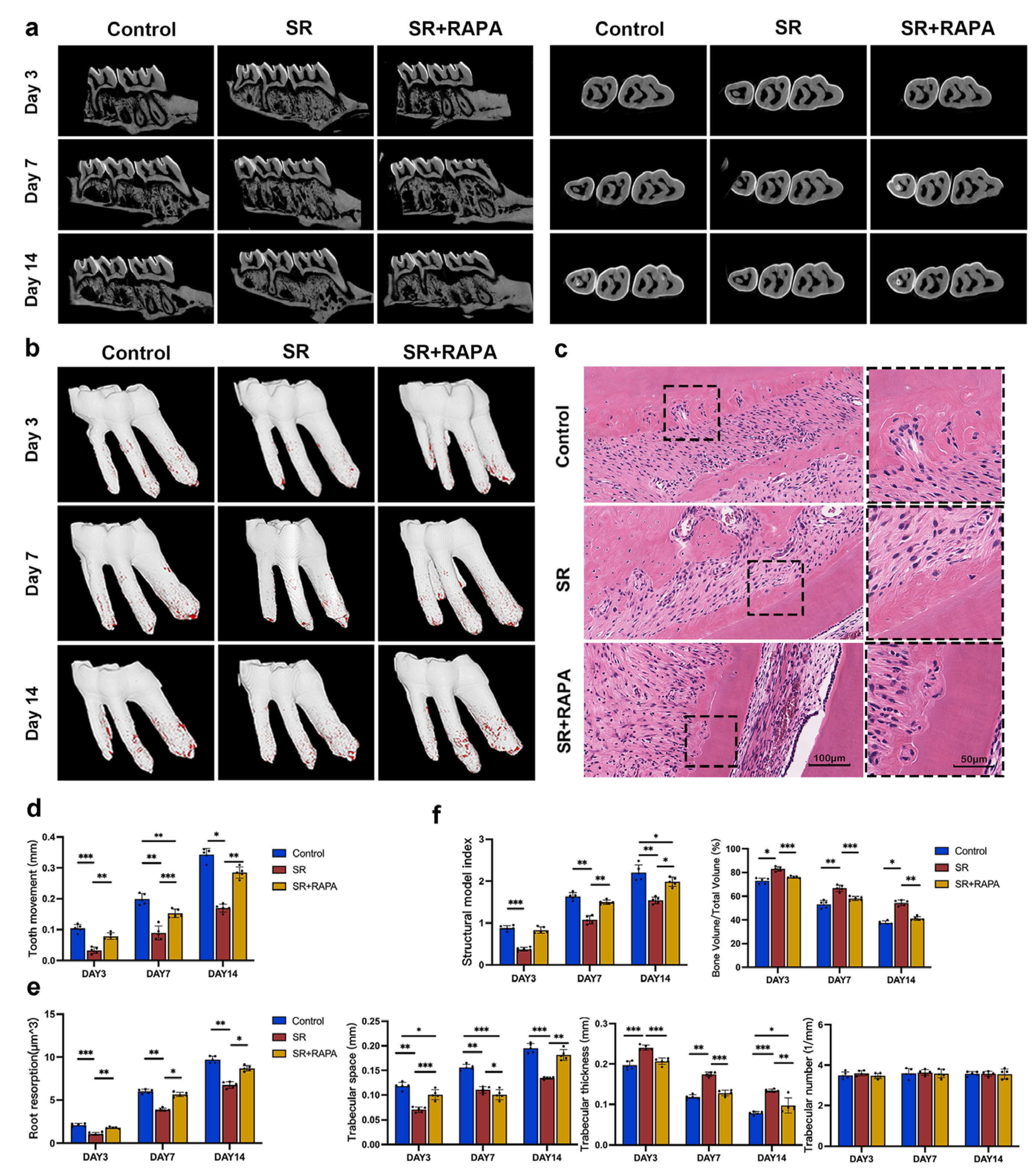 Bioengineering 10 00365 g003