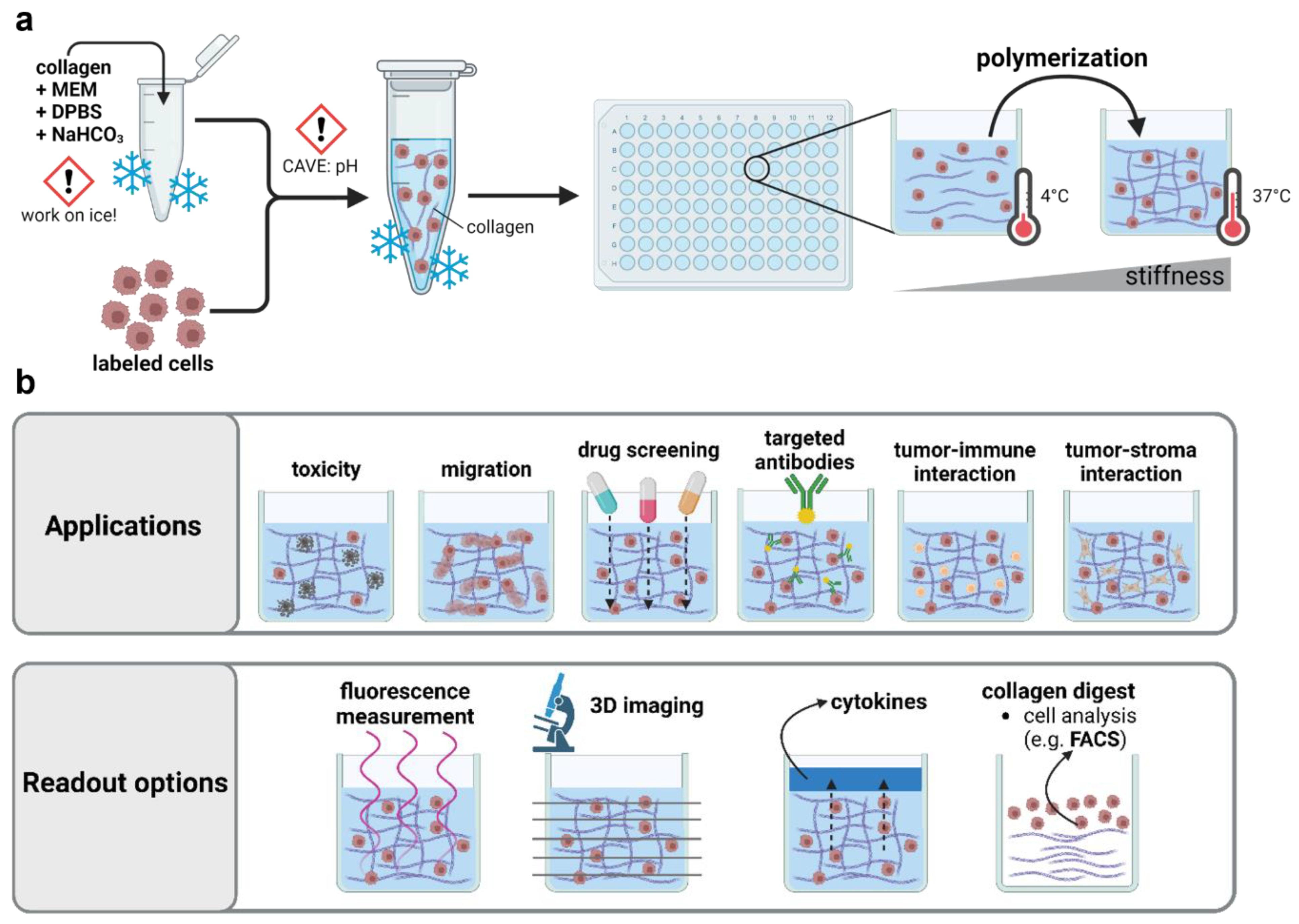 Bioengineering 10 00367 g001