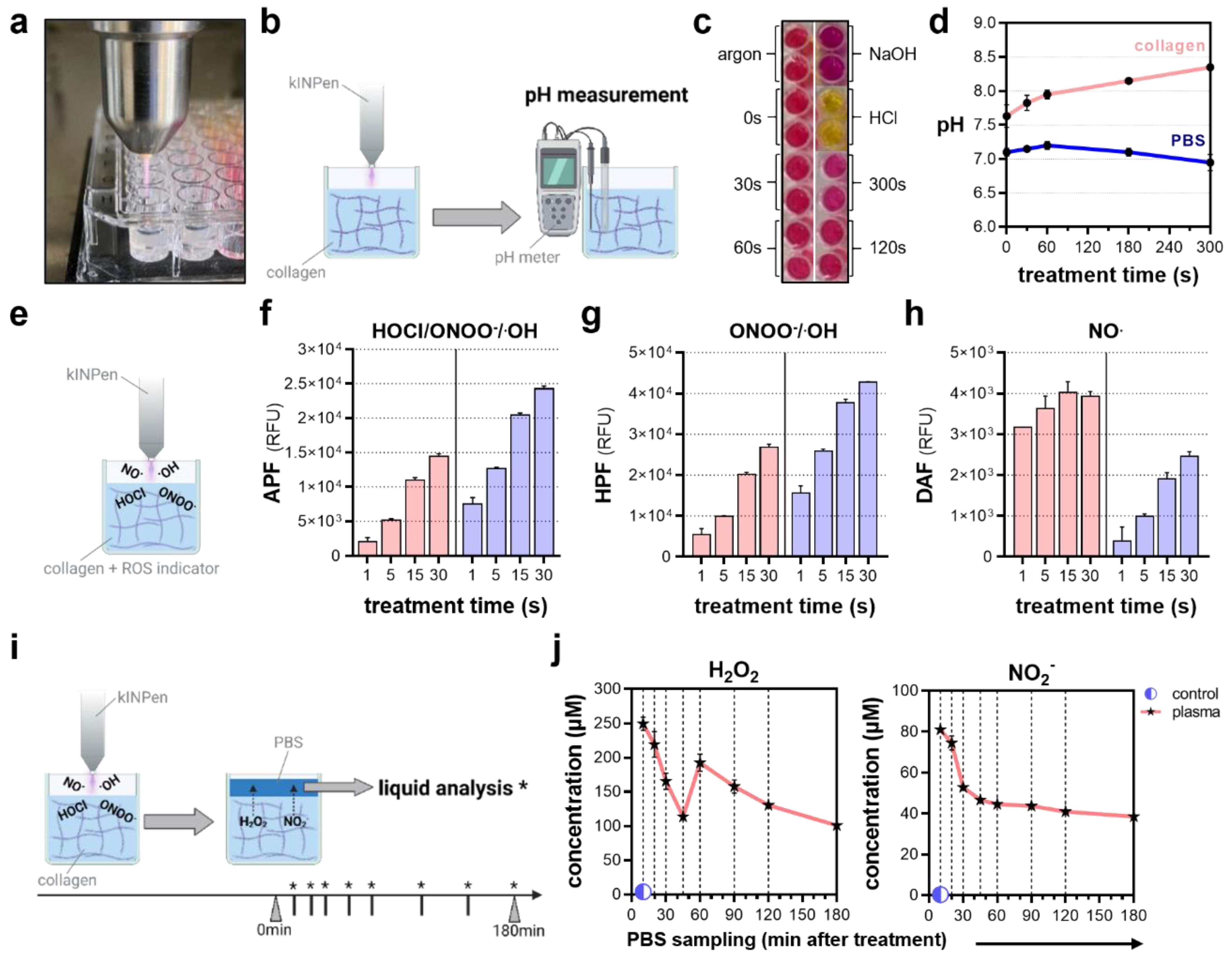 Bioengineering 10 00367 g004