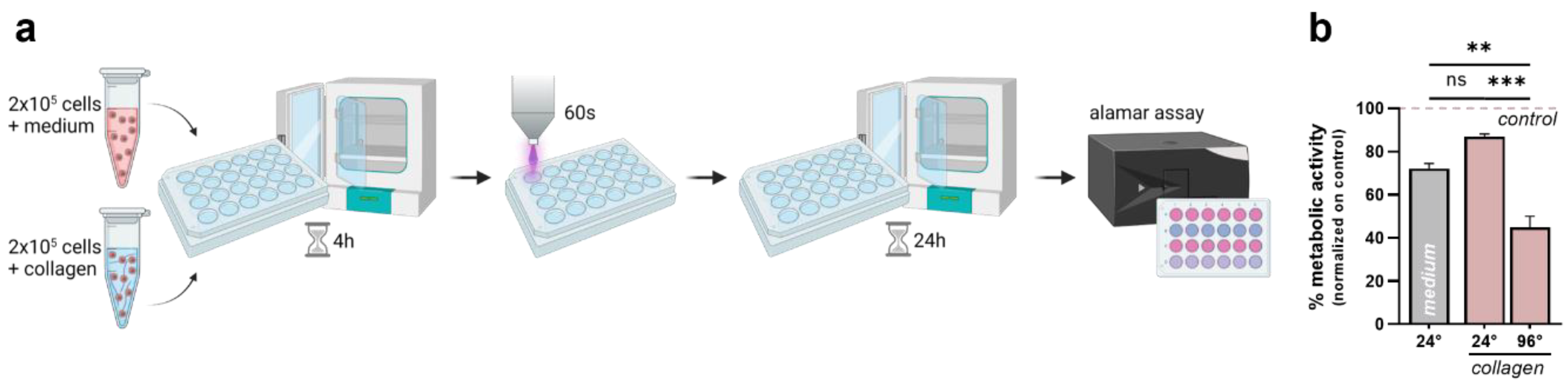 Bioengineering 10 00367 g005