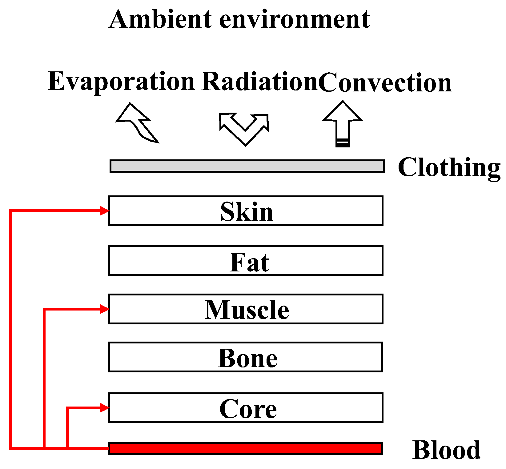 Bioengineering 10 00368 g001