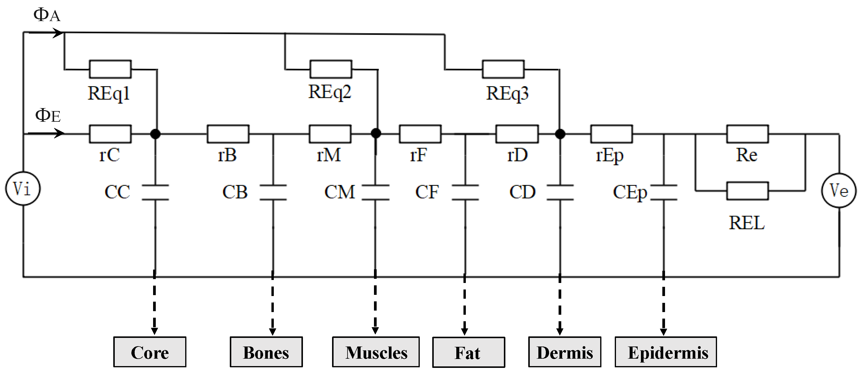 Bioengineering 10 00368 g002