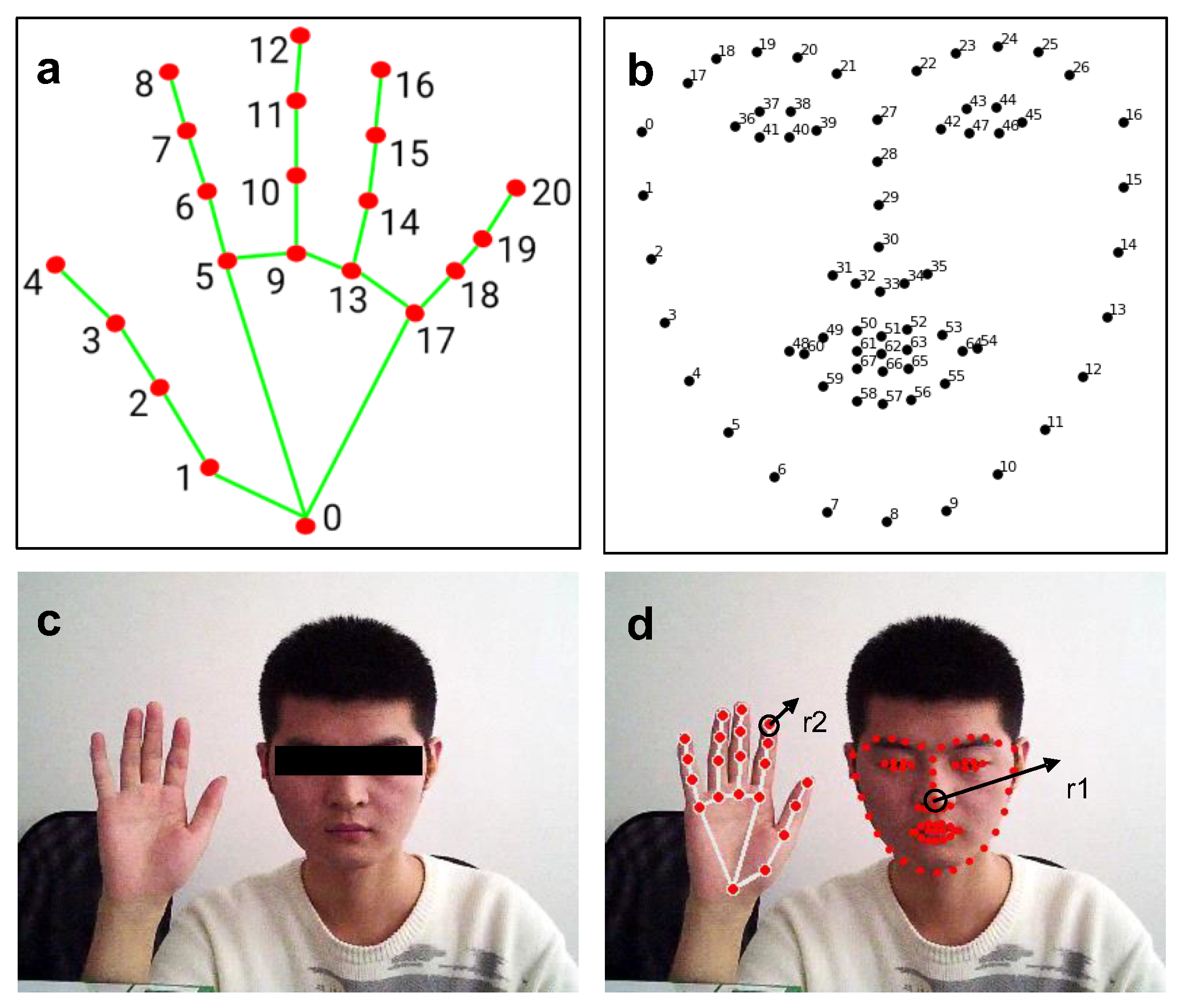 Bioengineering 10 00368 g006