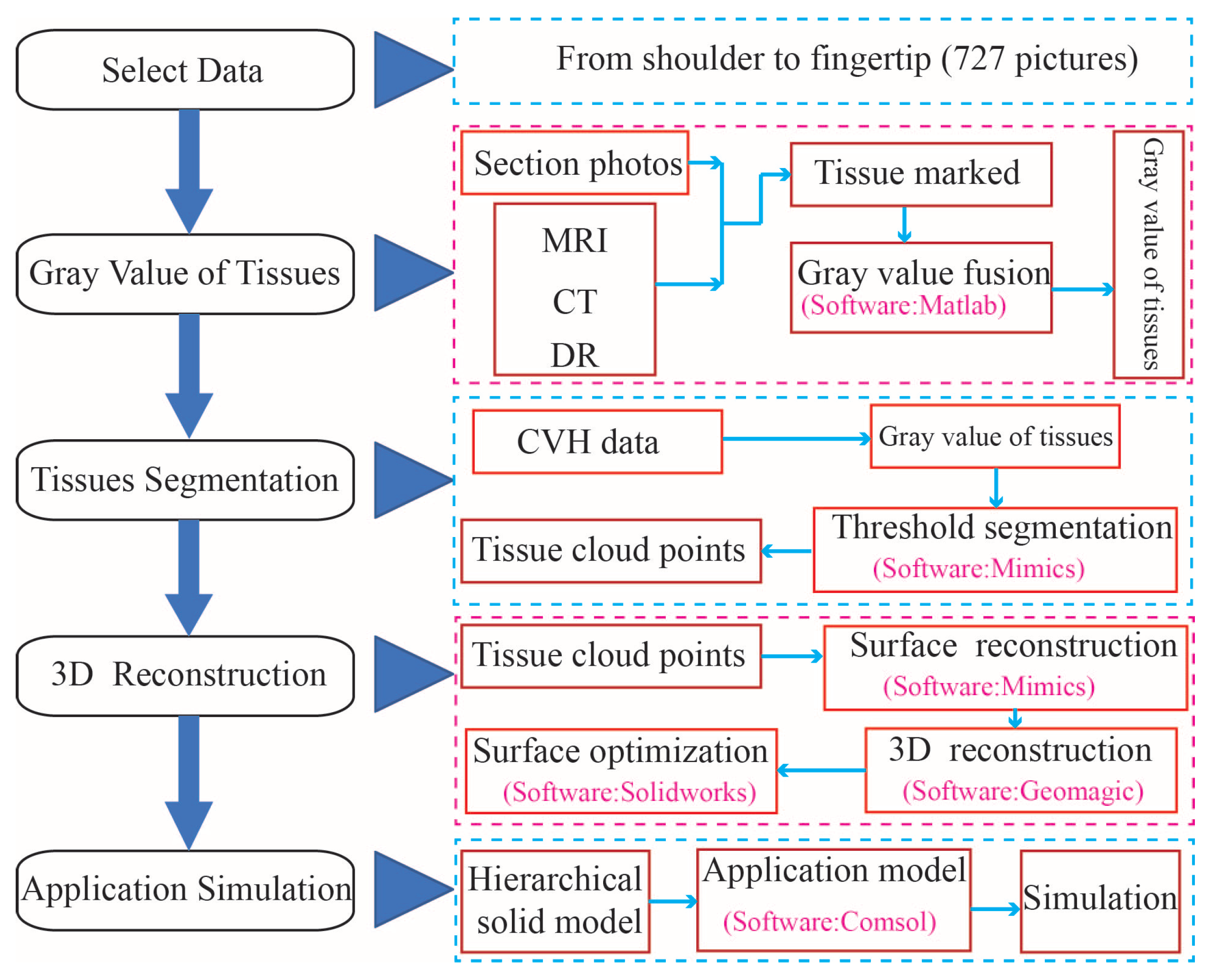 Bioengineering 10 00374 g001