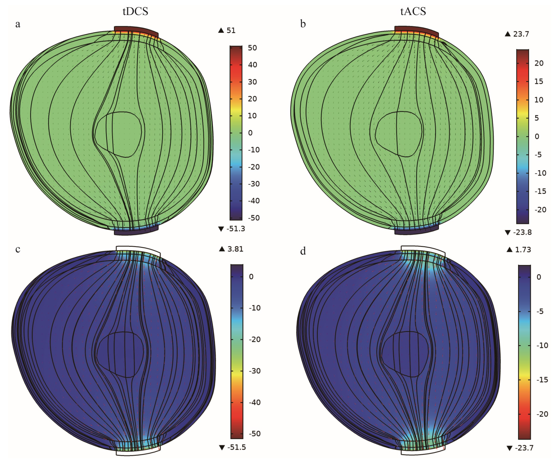 Bioengineering 10 00374 g004