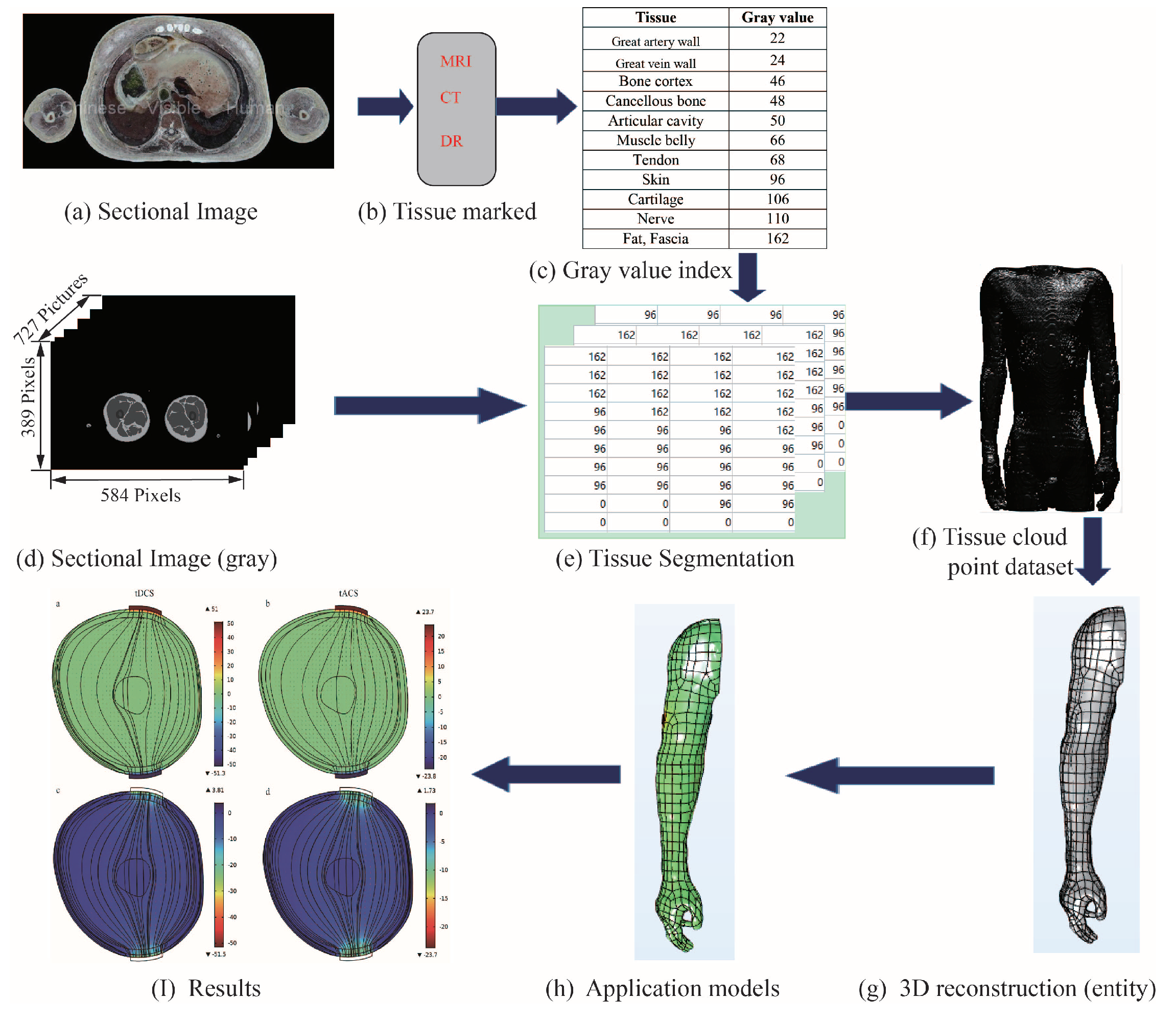 Bioengineering 10 00374 g0a1