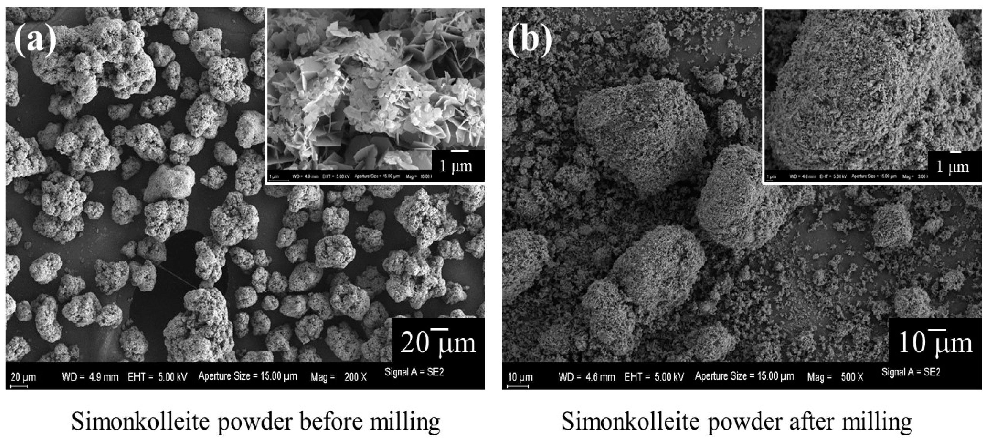 Bioengineering 10 00375 g003 Bioengineering 10 00375 g003