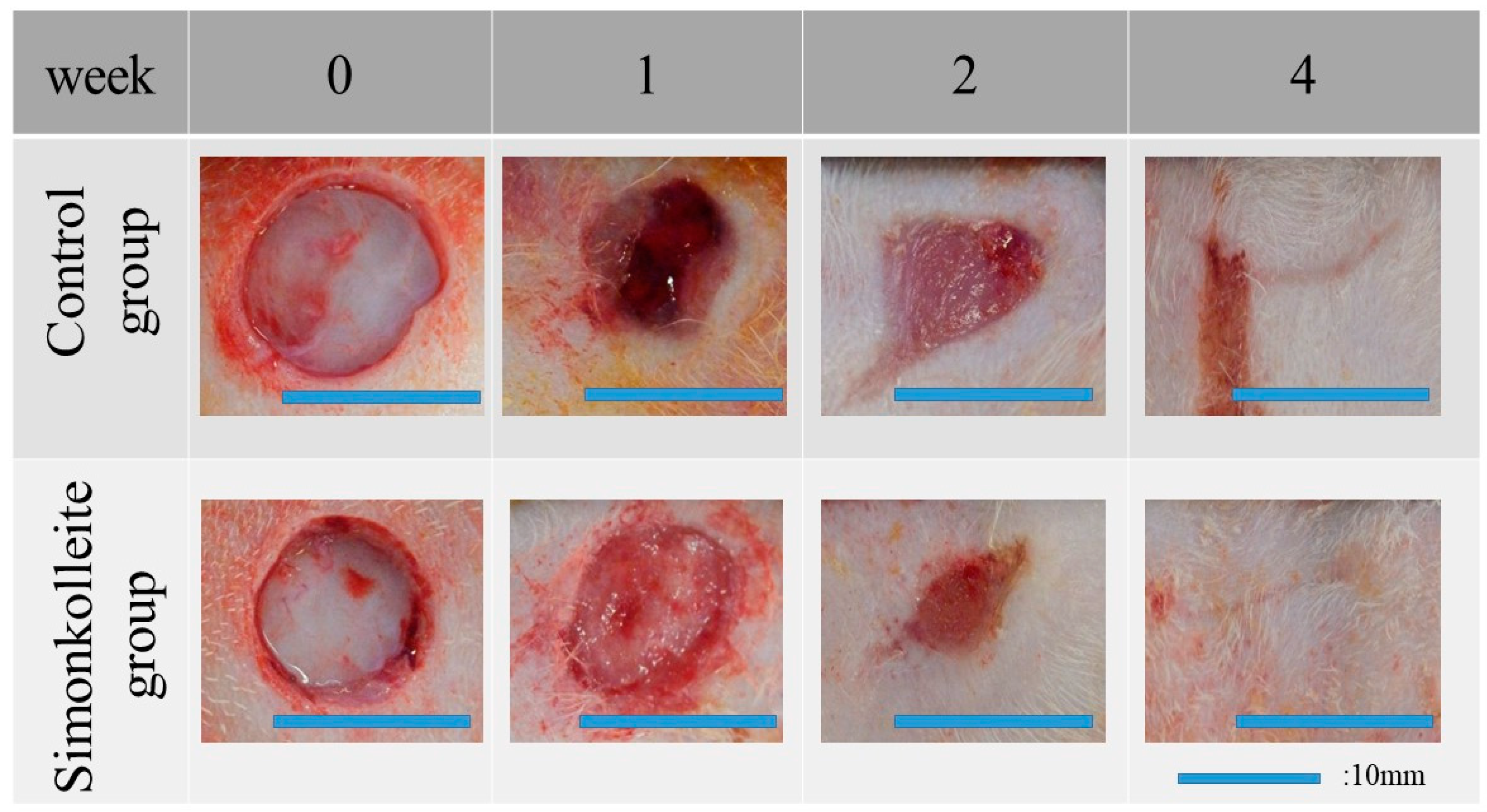 Bioengineering 10 00375 g006 Bioengineering 10 00375 g006