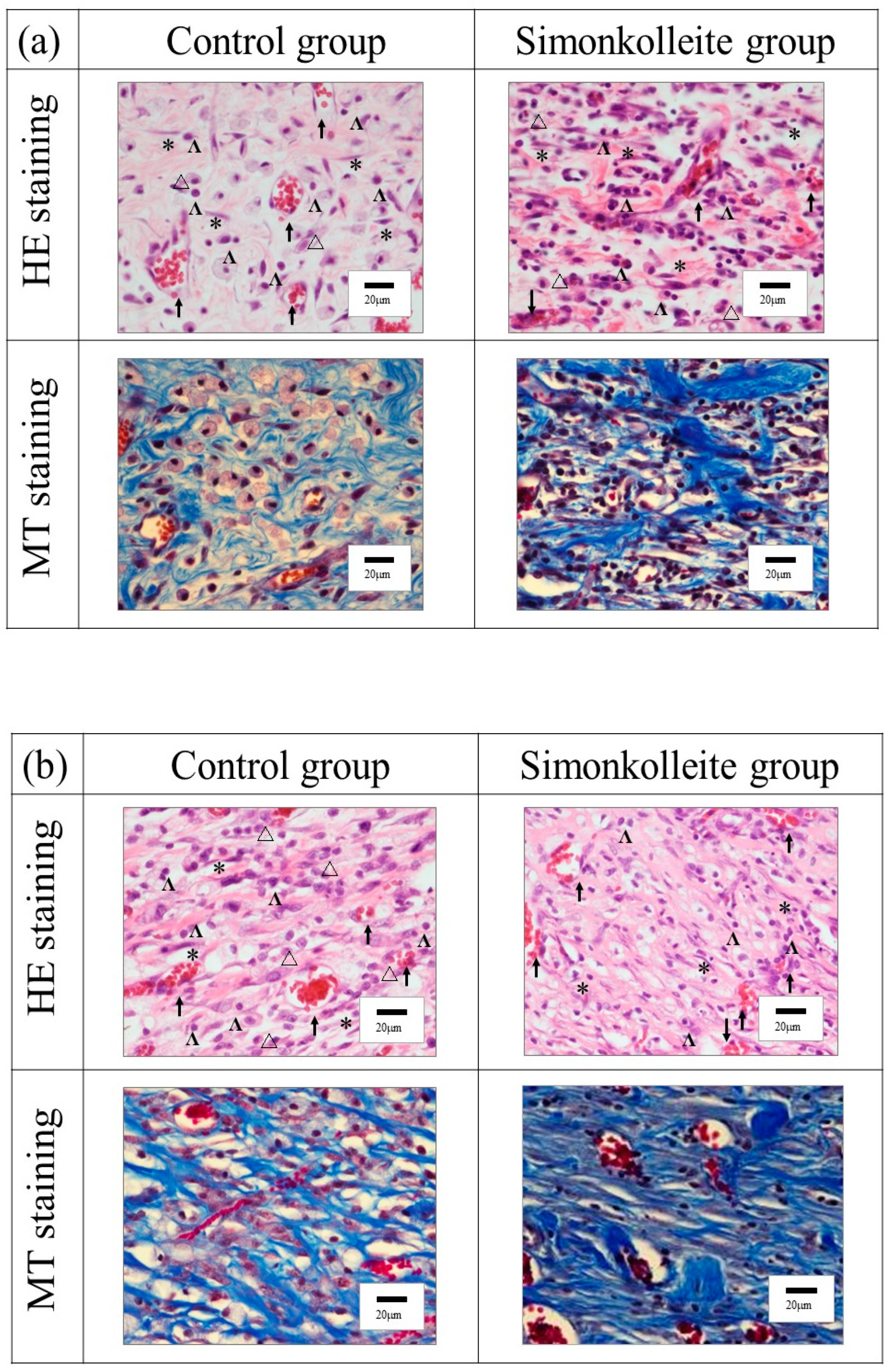 Bioengineering 10 00375 g008a Bioengineering 10 00375 g008a