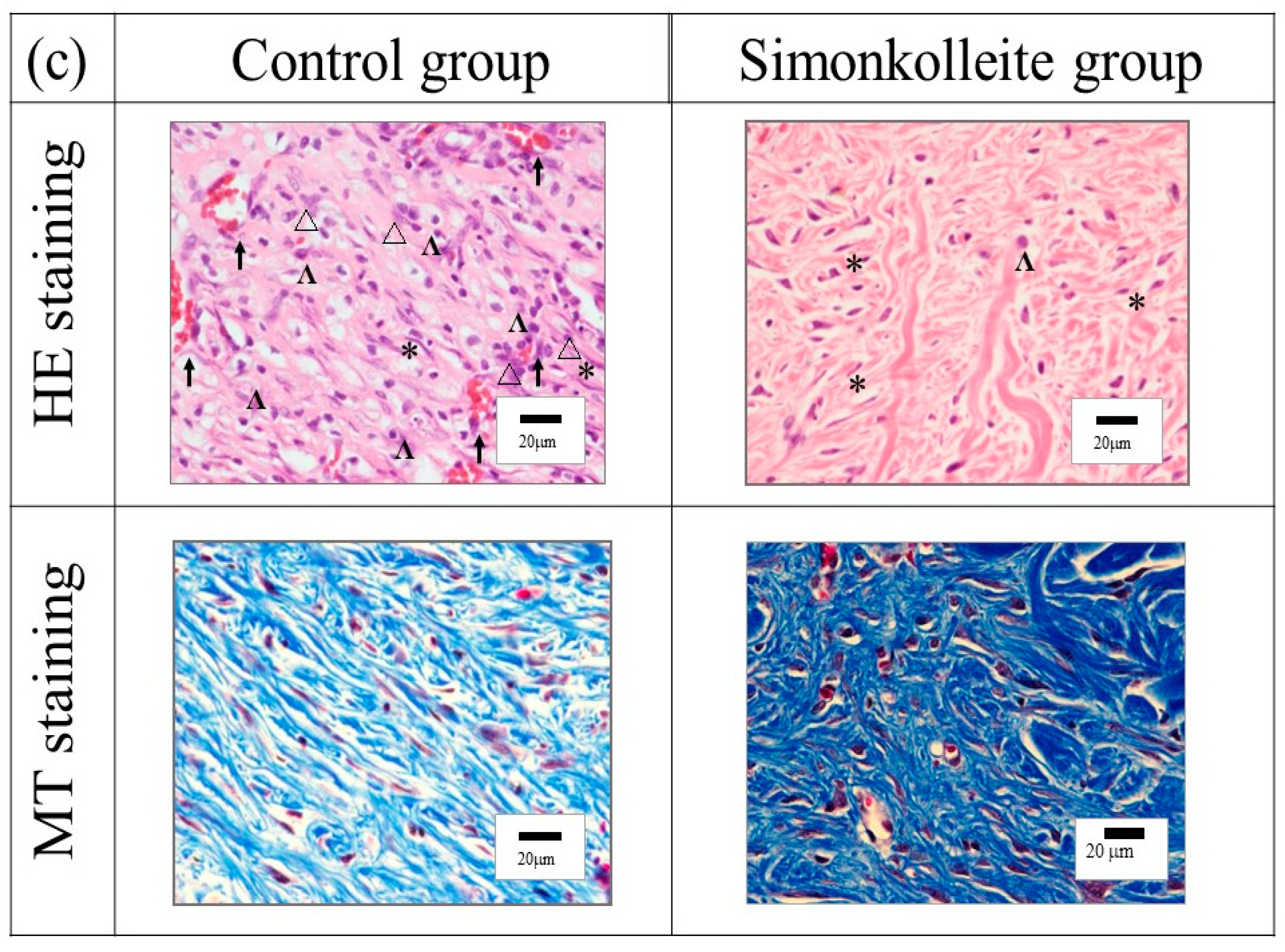 Bioengineering 10 00375 g008b Bioengineering 10 00375 g008b