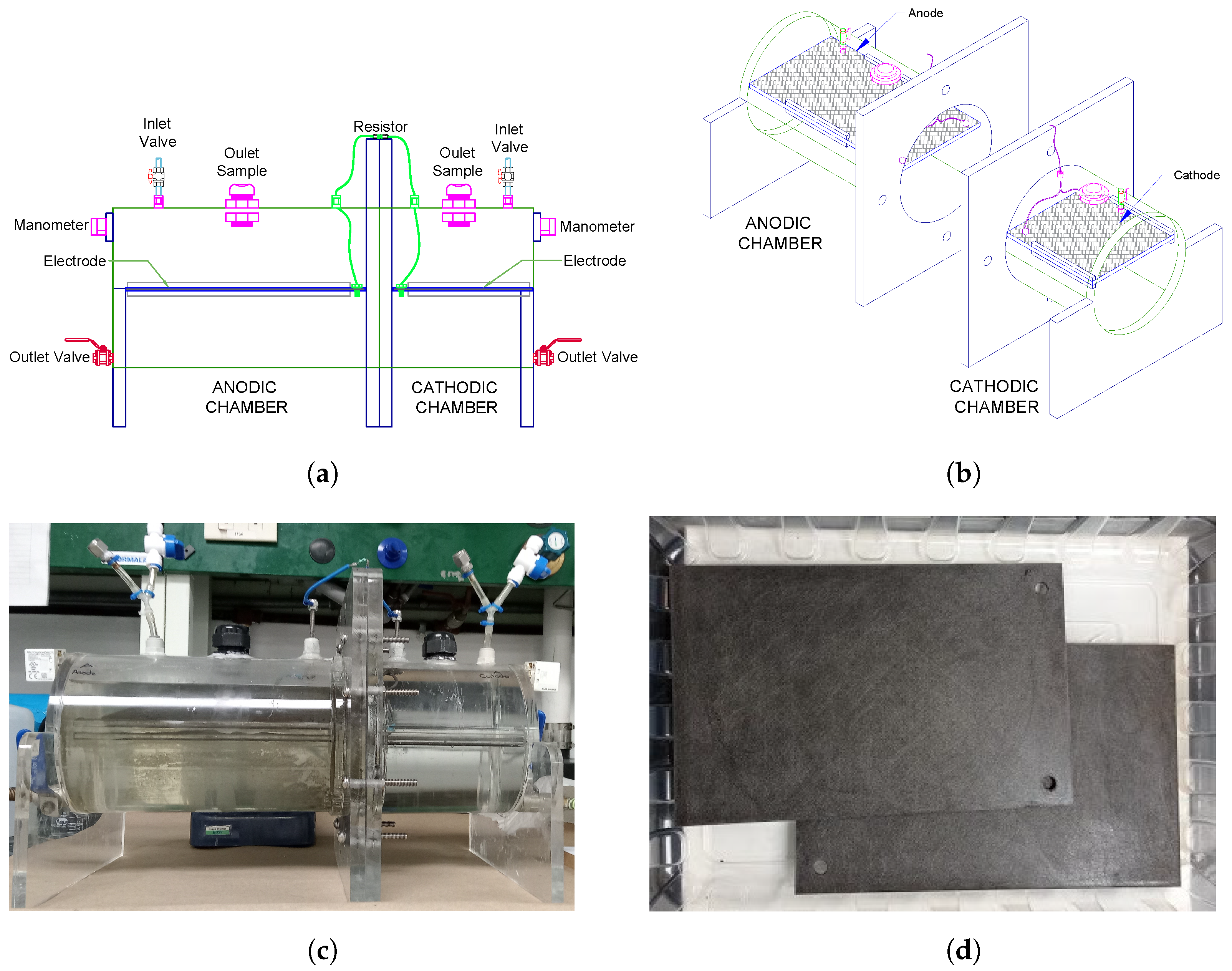 Bioengineering 10 00378 g002 Bioengineering 10 00378 g002