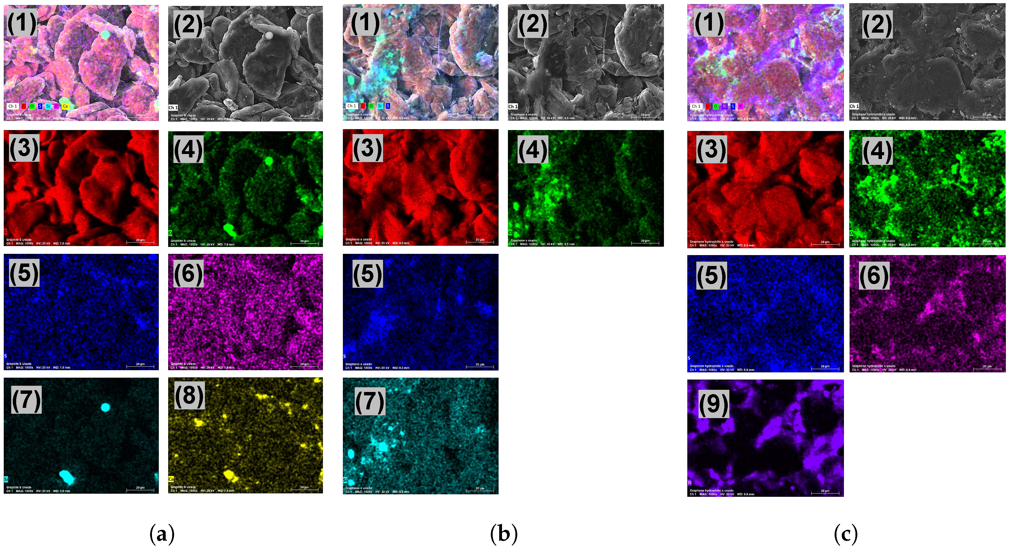 Bioengineering 10 00378 g003 Bioengineering 10 00378 g003