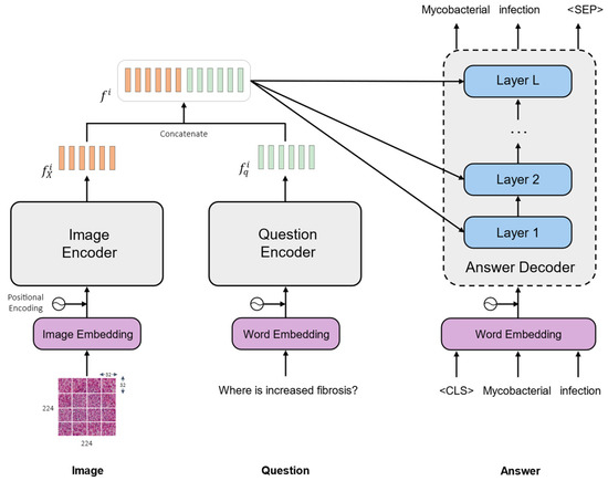 Bioengineering | Free Full-Text | Vision–Language Model for Visual ...