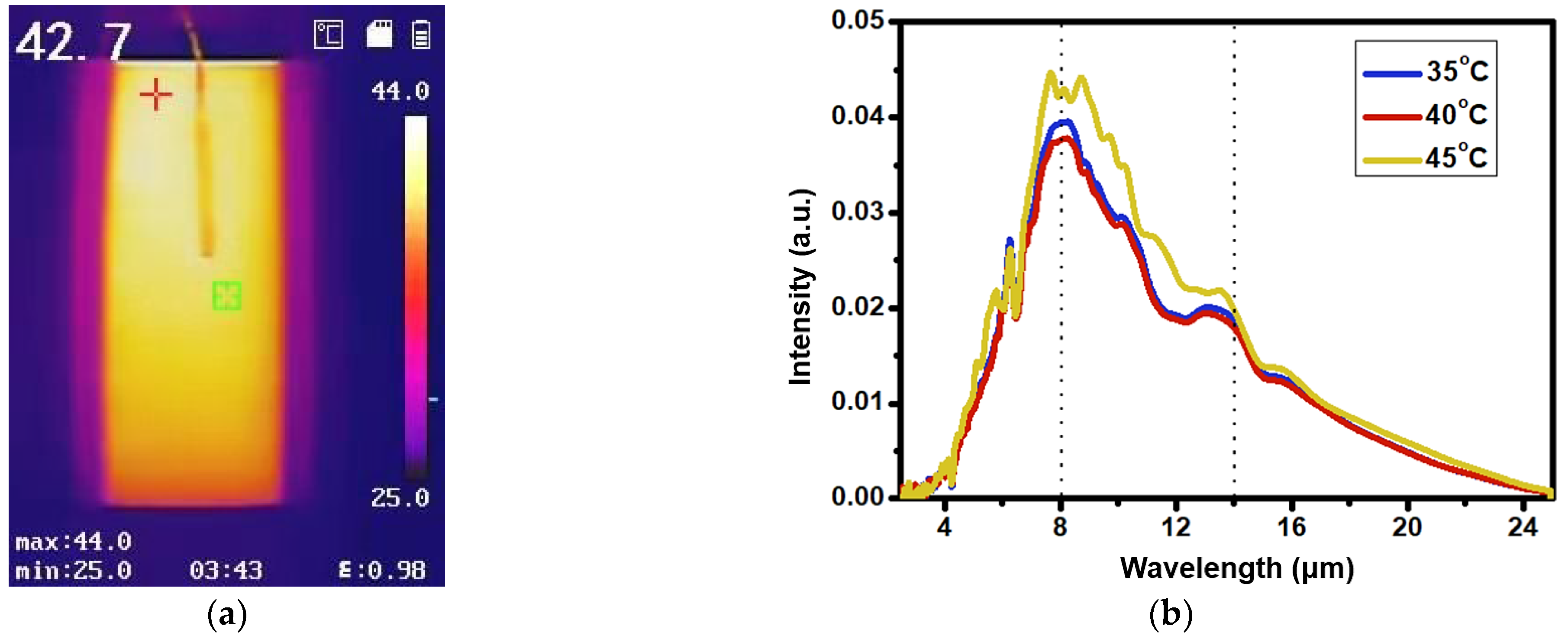 Bioengineering 10 00381 g004