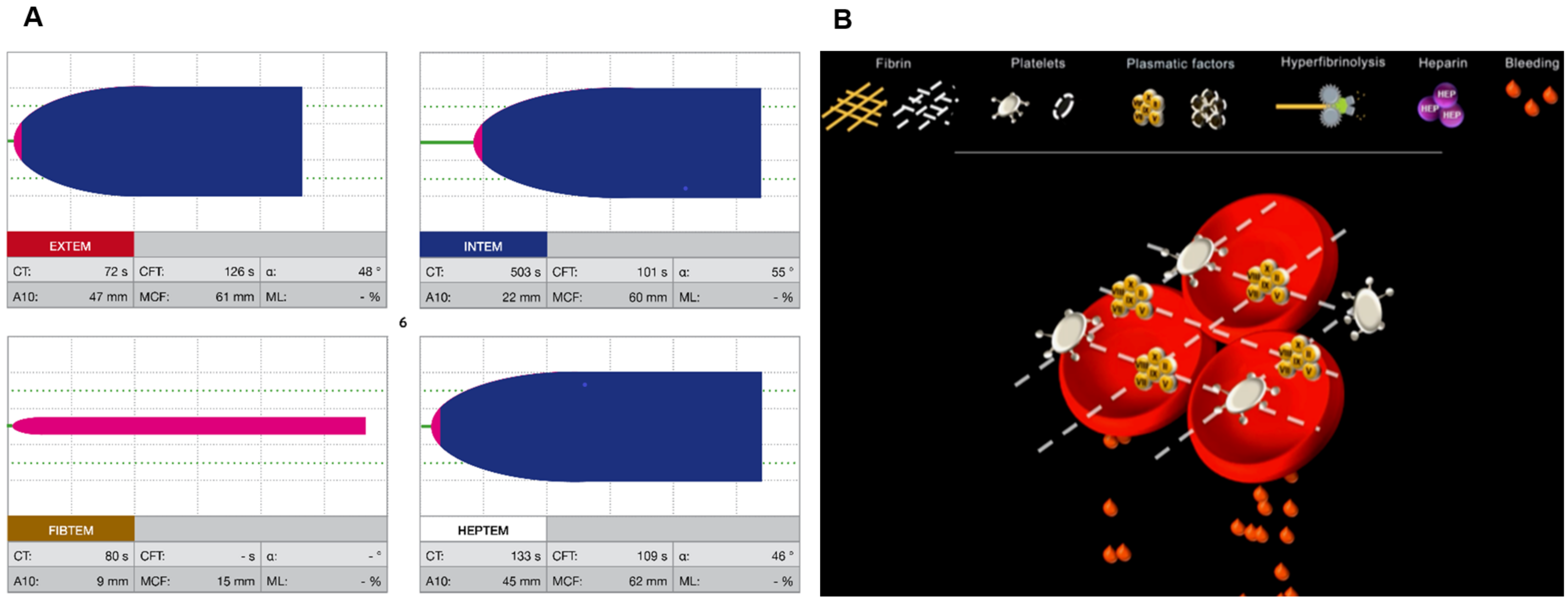 Bioengineering 10 00386 g001