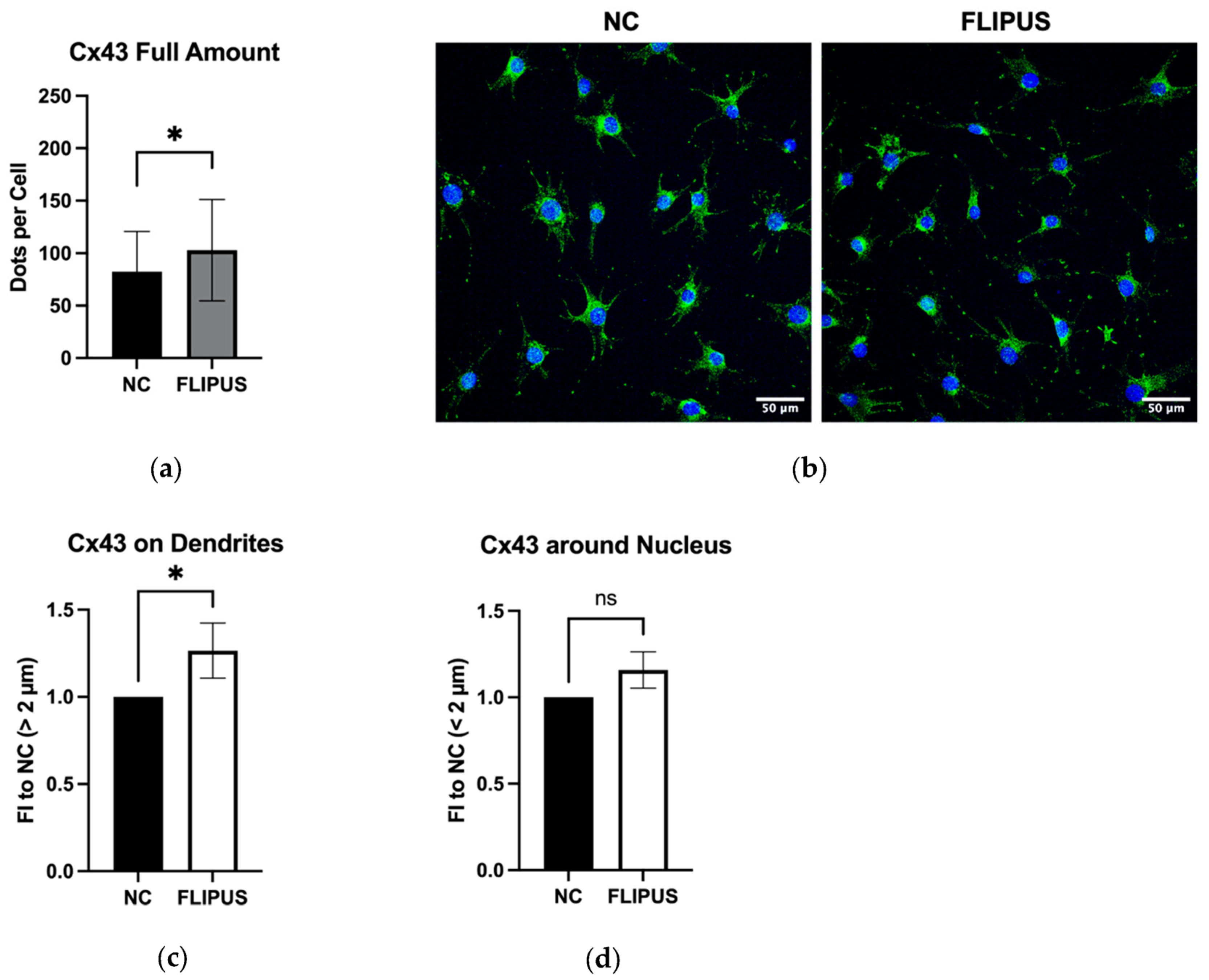 Bioengineering 10 00387 g004