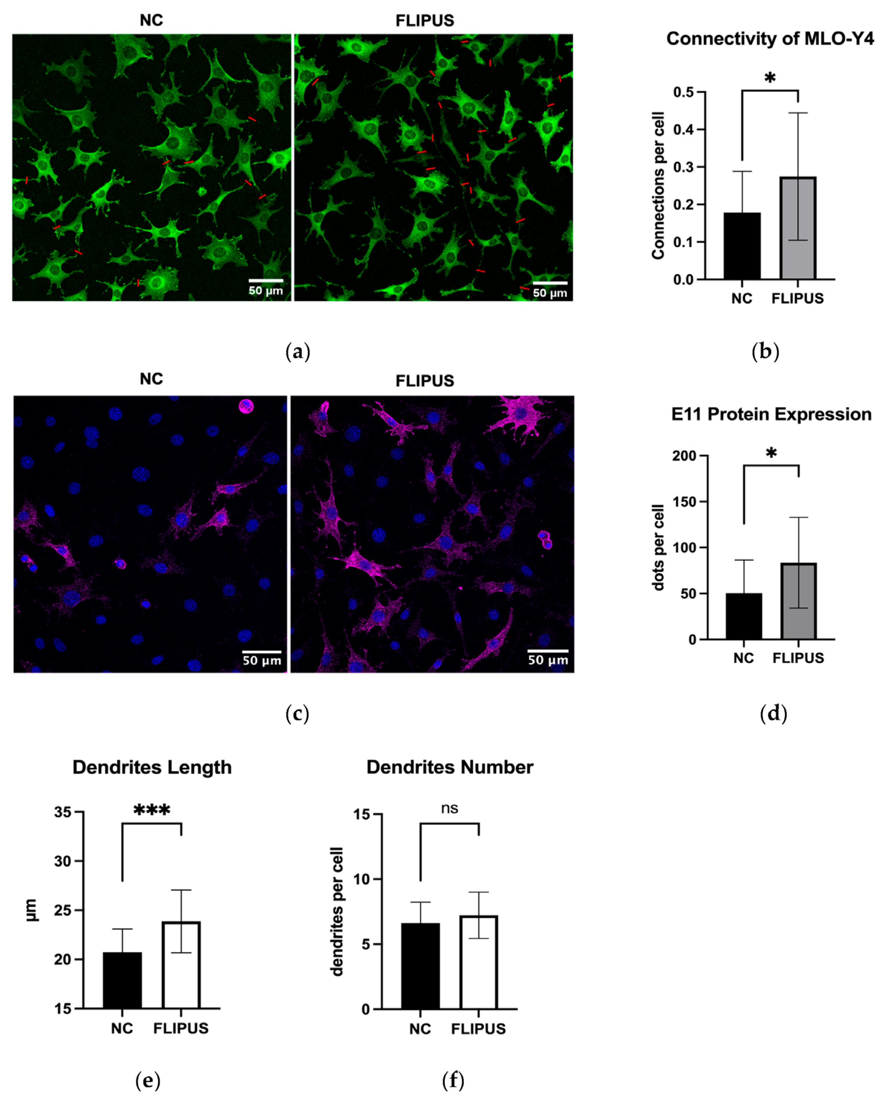 Bioengineering 10 00387 g005