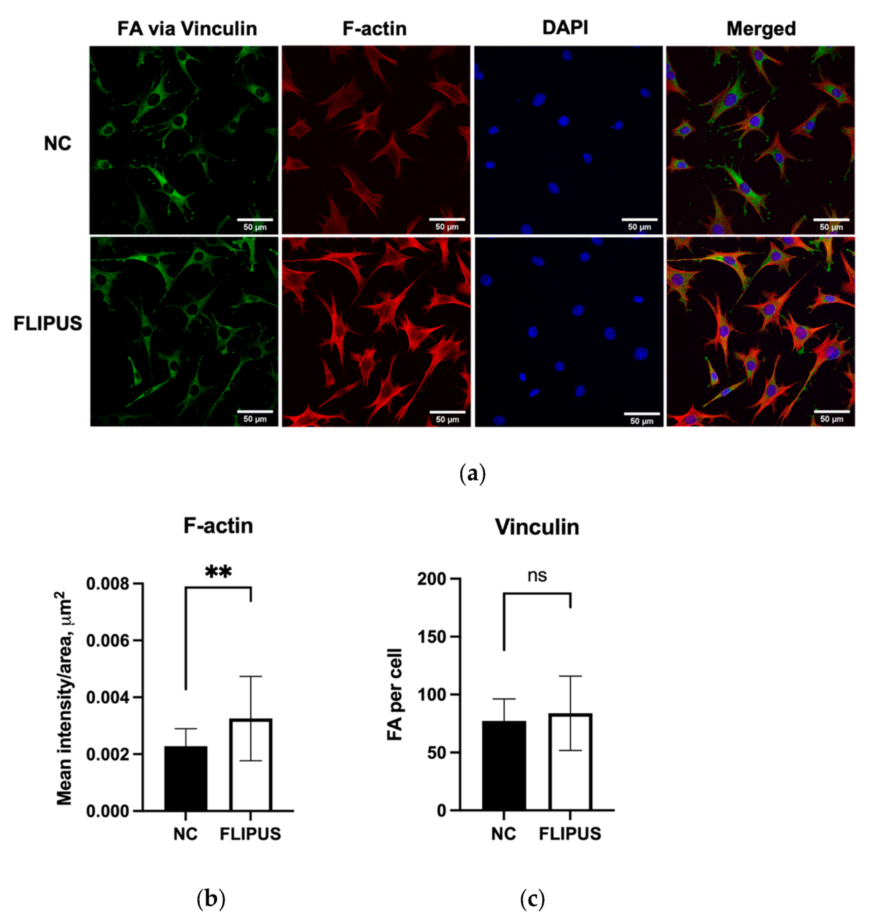 Bioengineering 10 00387 g007