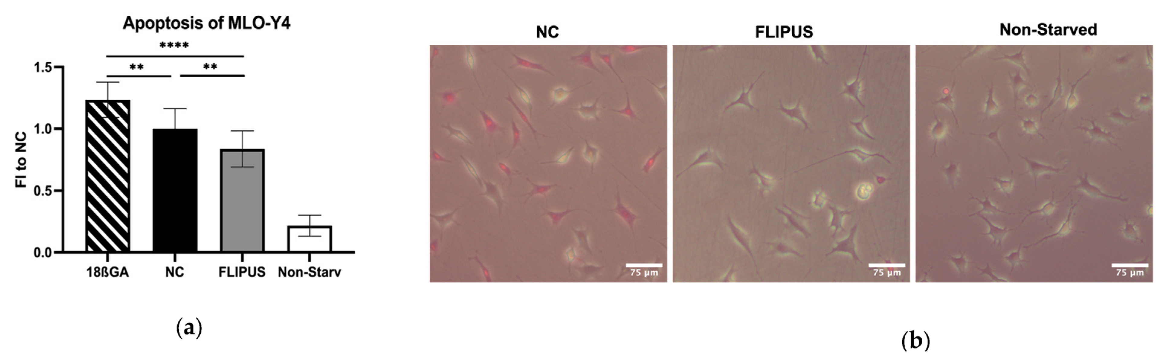 Bioengineering 10 00387 g008