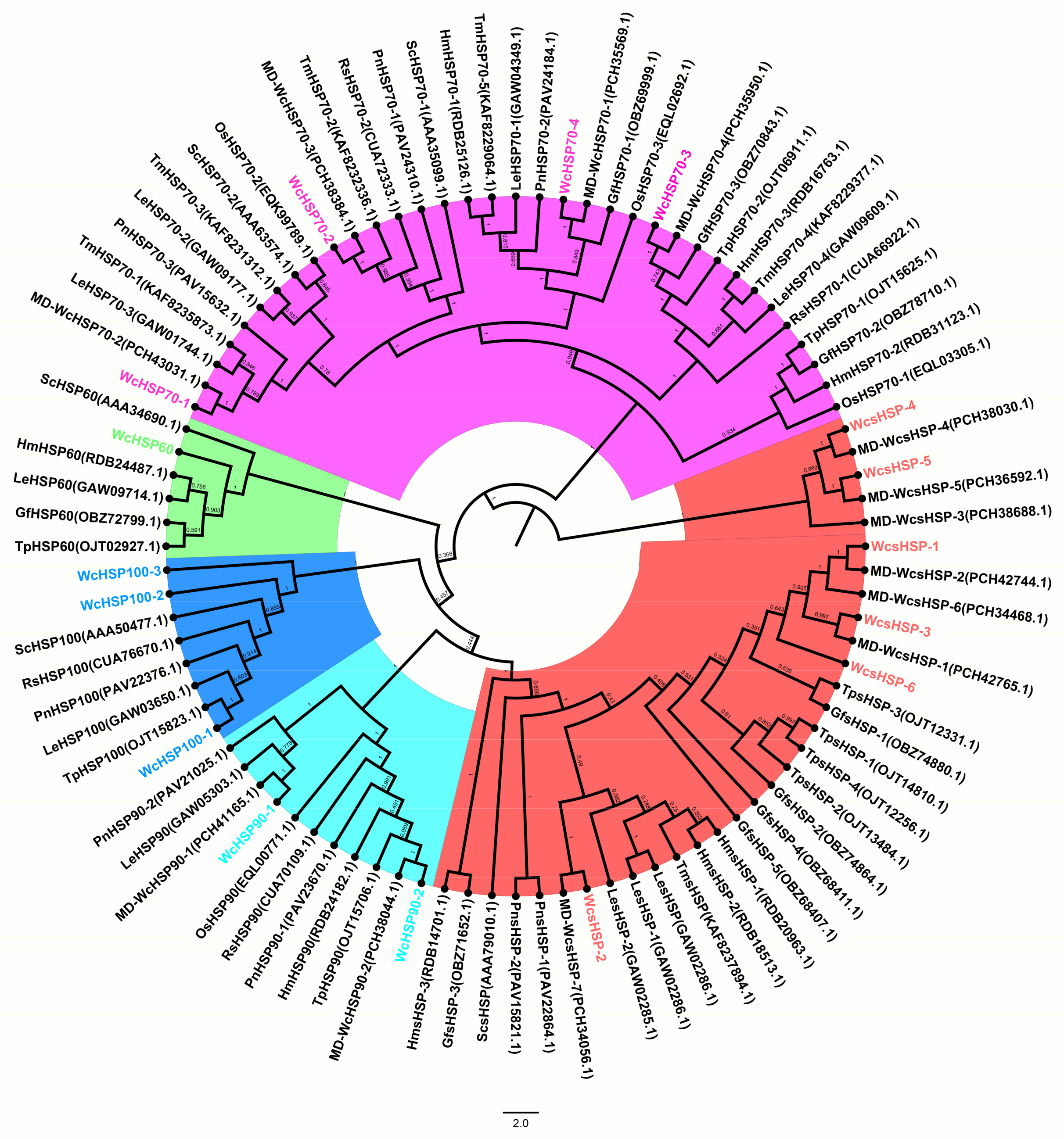 Bioengineering 10 00390 g002