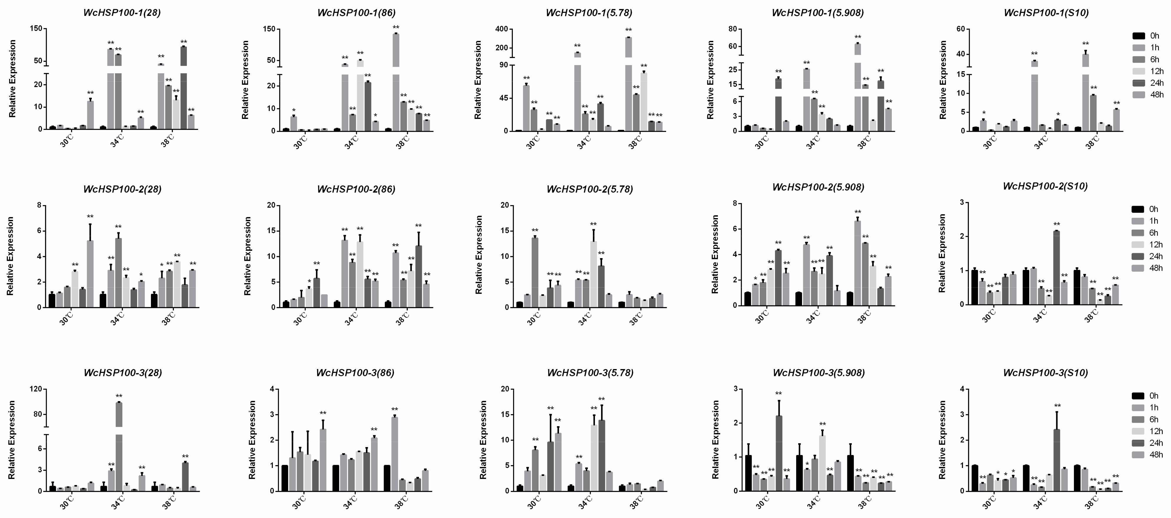 Bioengineering 10 00390 g004