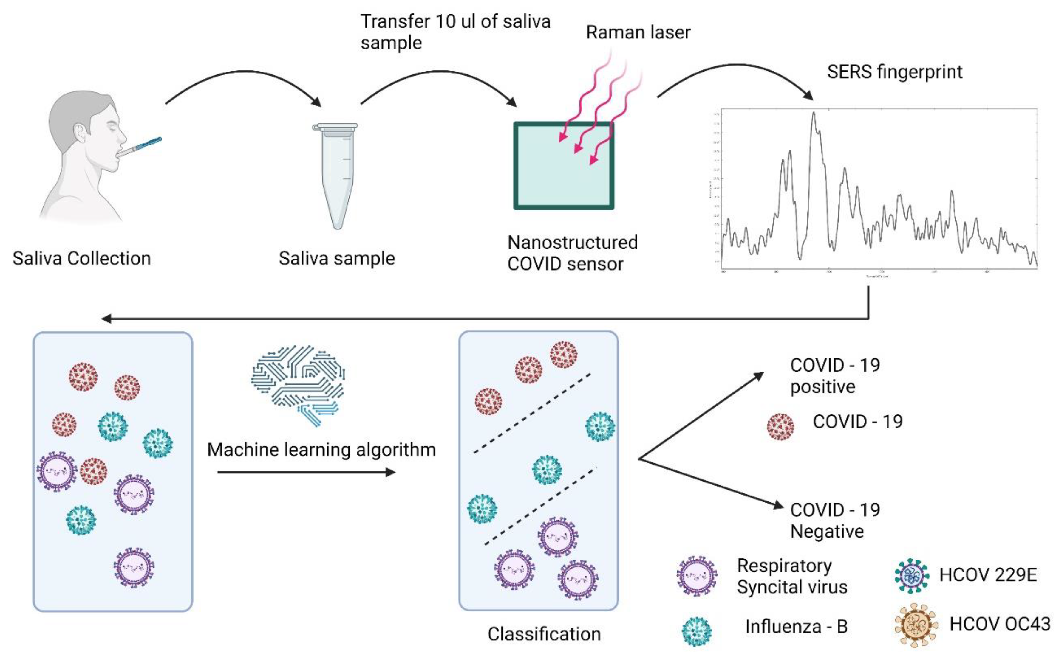 Bioengineering 10 00391 g001 Bioengineering 10 00391 g001