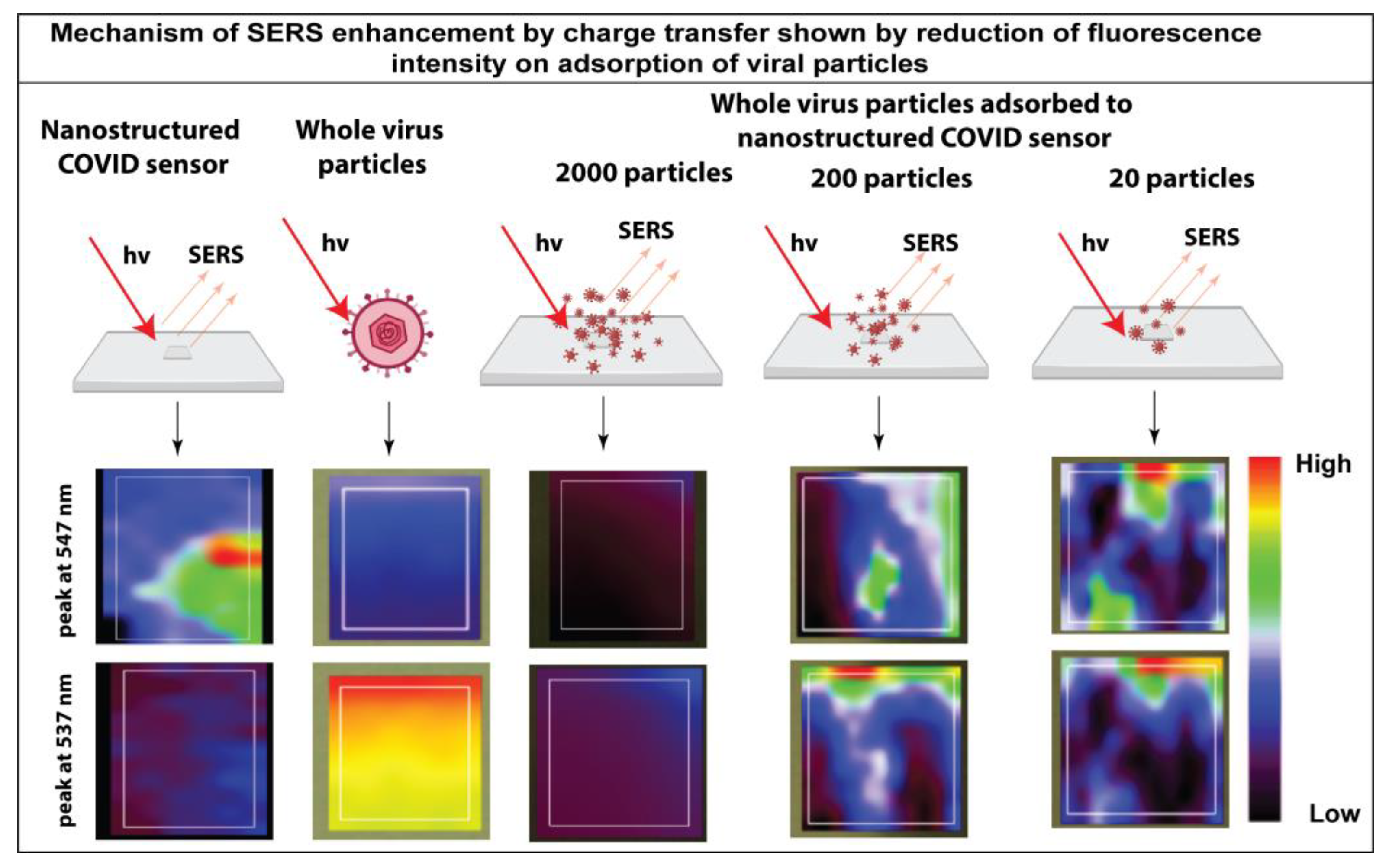 Bioengineering Free FullText LabelFree Saliva Test for Rapid