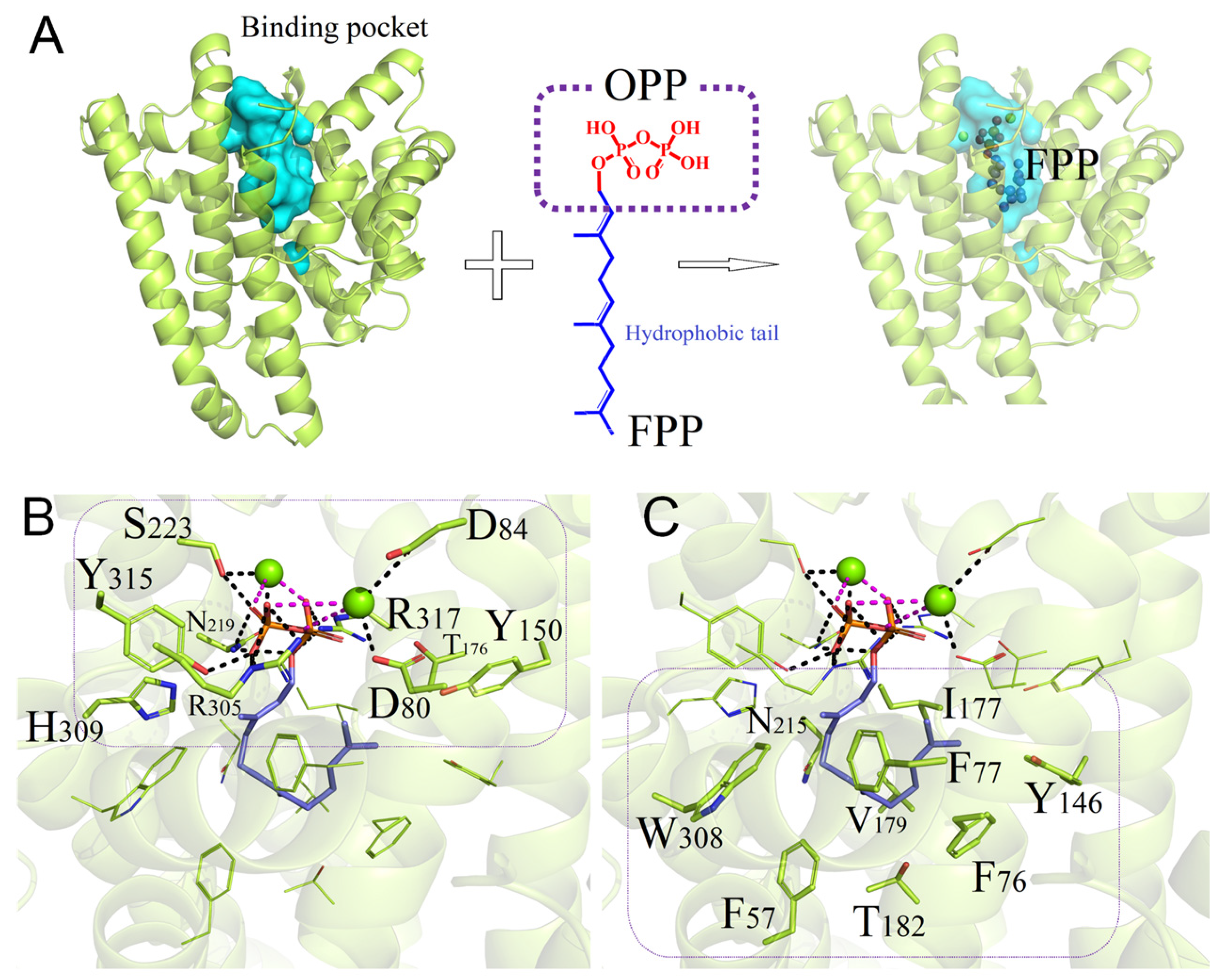Bioengineering 10 00392 g004 Bioengineering 10 00392 g004