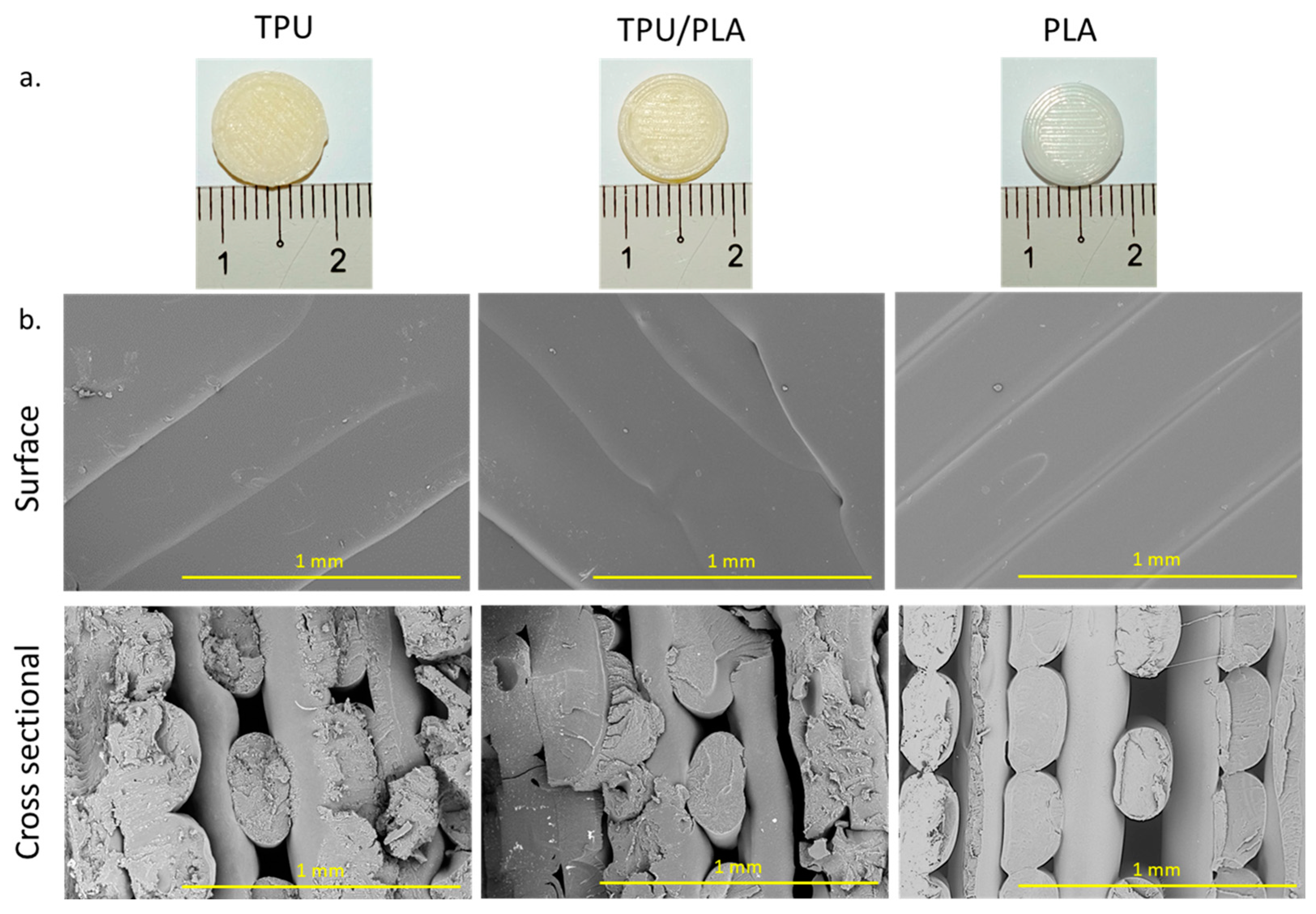 Bioengineering 10 00394 g001 Bioengineering 10 00394 g001