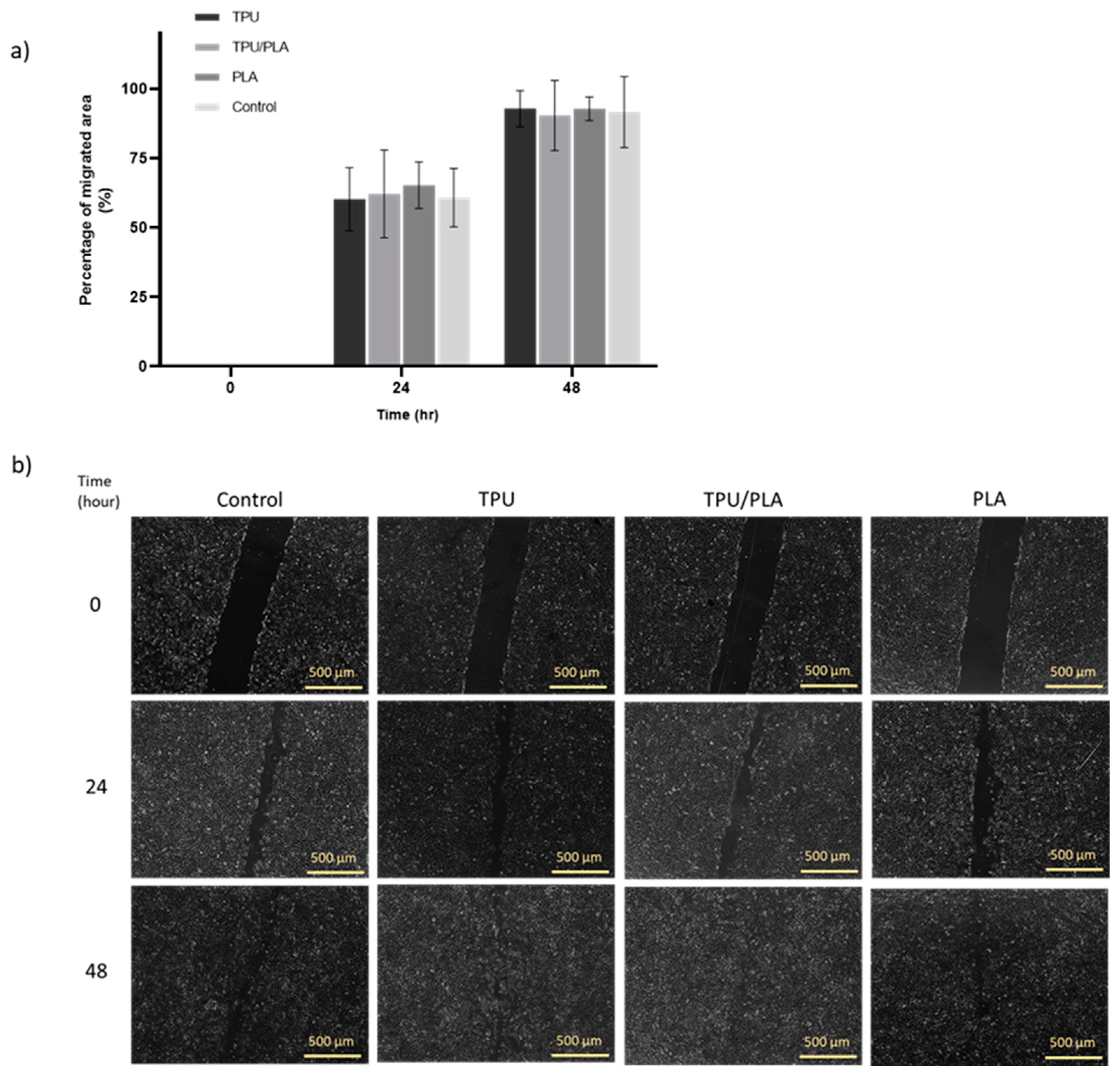 Bioengineering 10 00394 g004 Bioengineering 10 00394 g004
