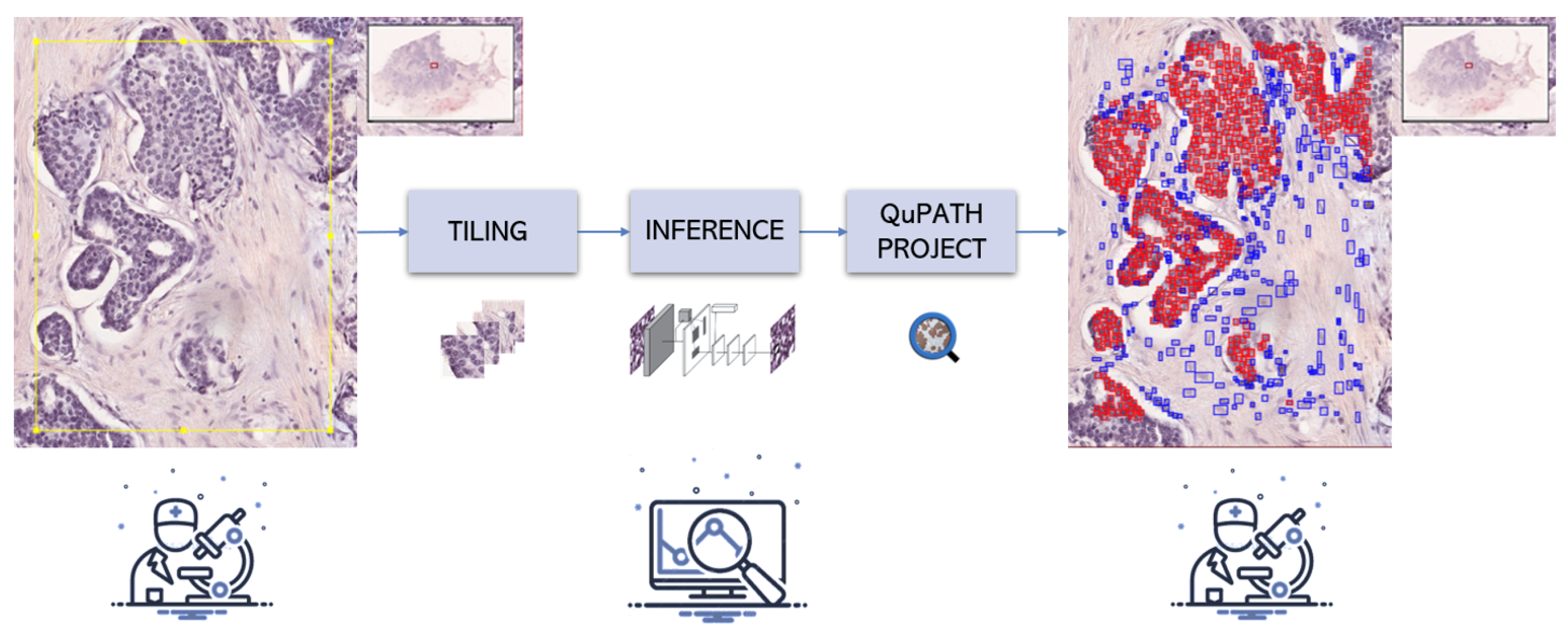 Bioengineering 10 00396 g003