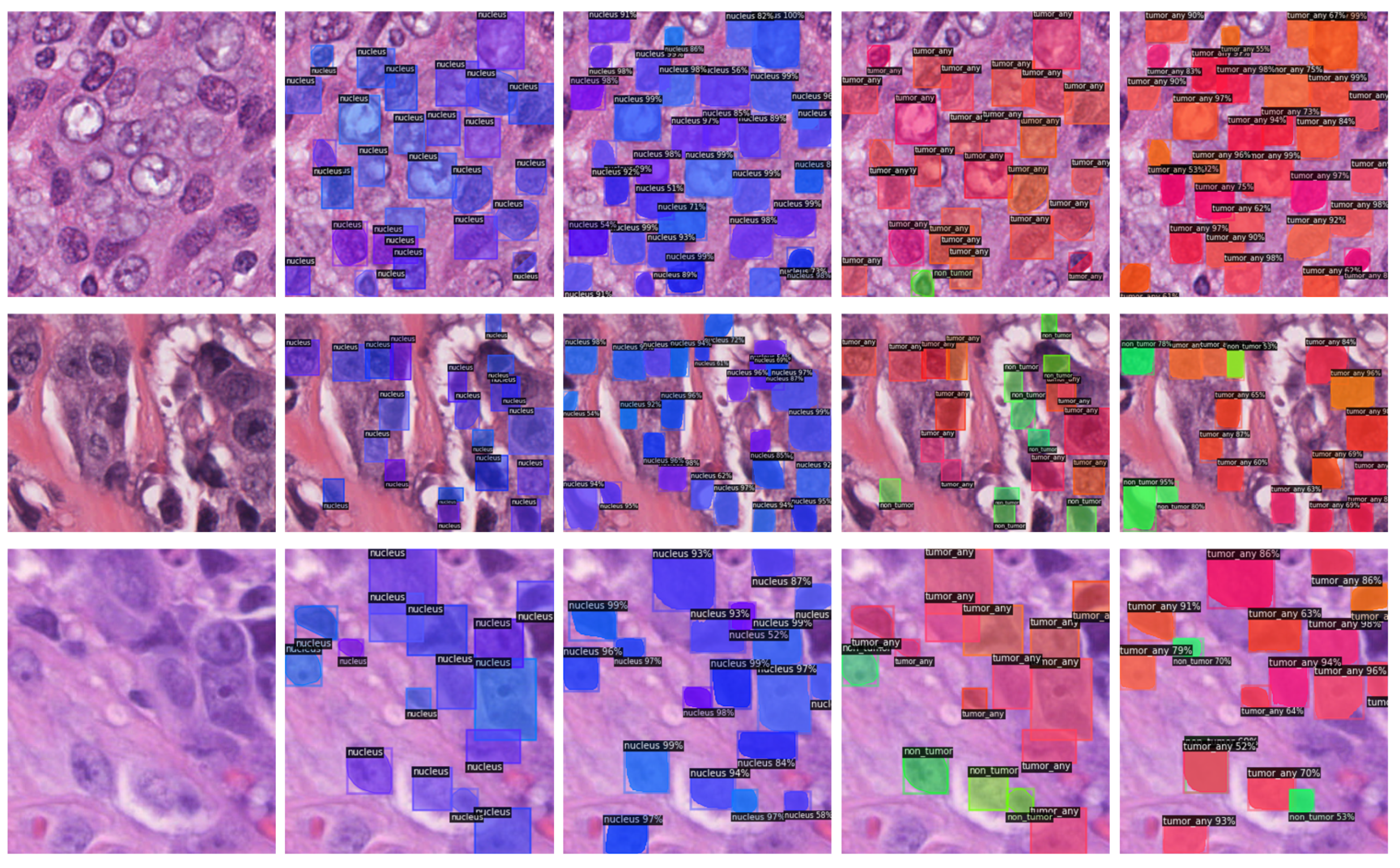 Bioengineering 10 00396 g005